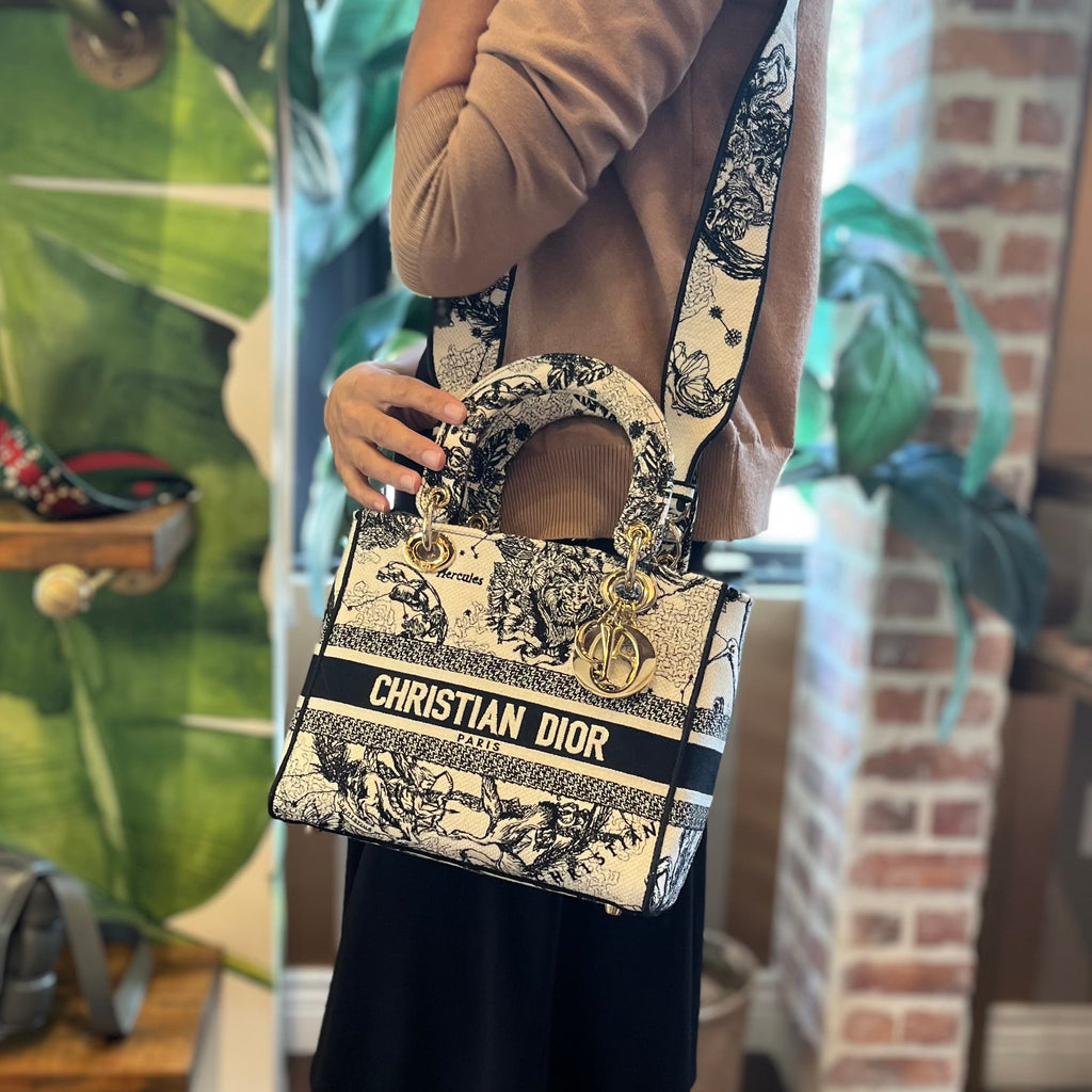 DIOR Lady Dior Medium Dior Zodiac Embroidery Tote
