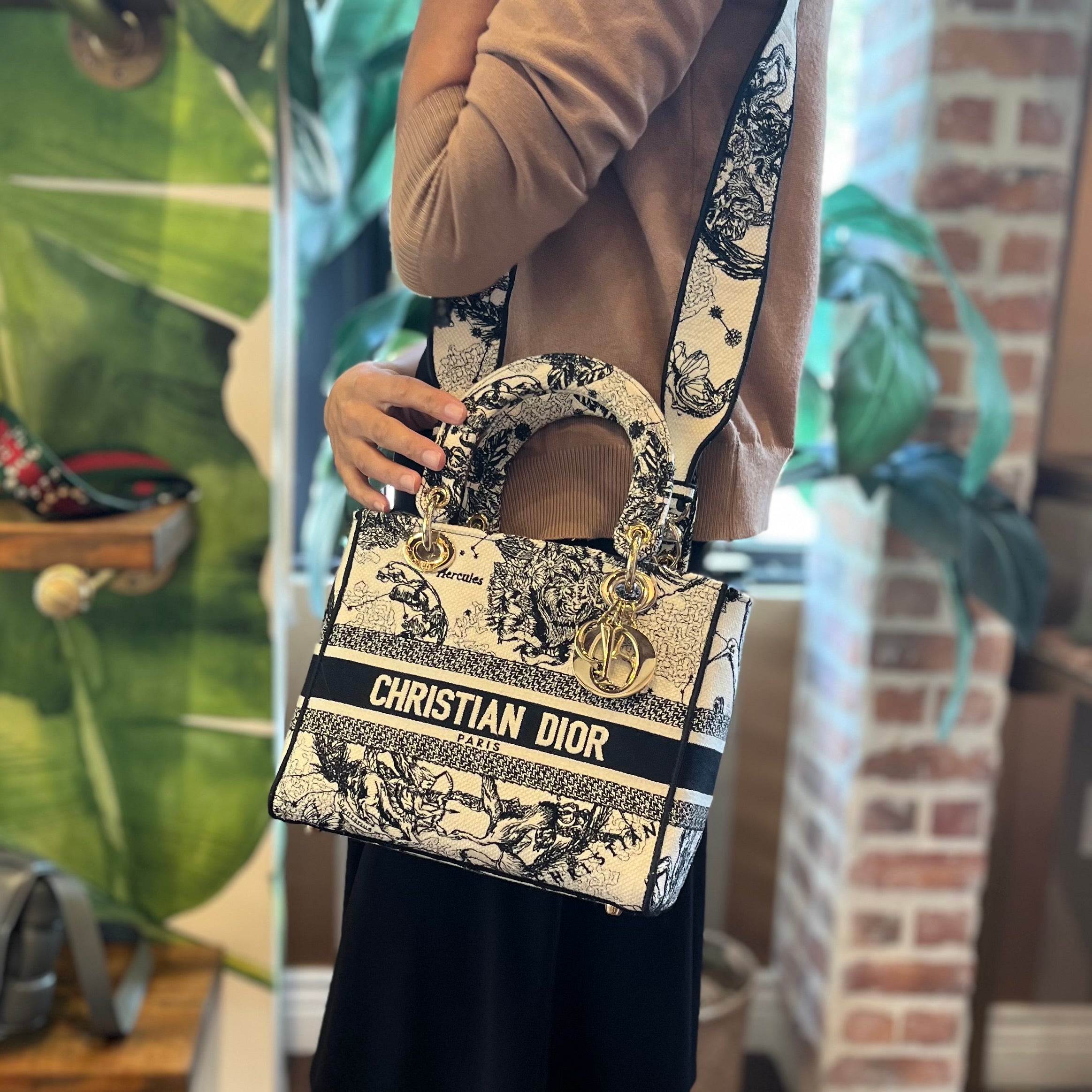 DIOR Lady Dior Medium Dior Zodiac Embroidery Tote