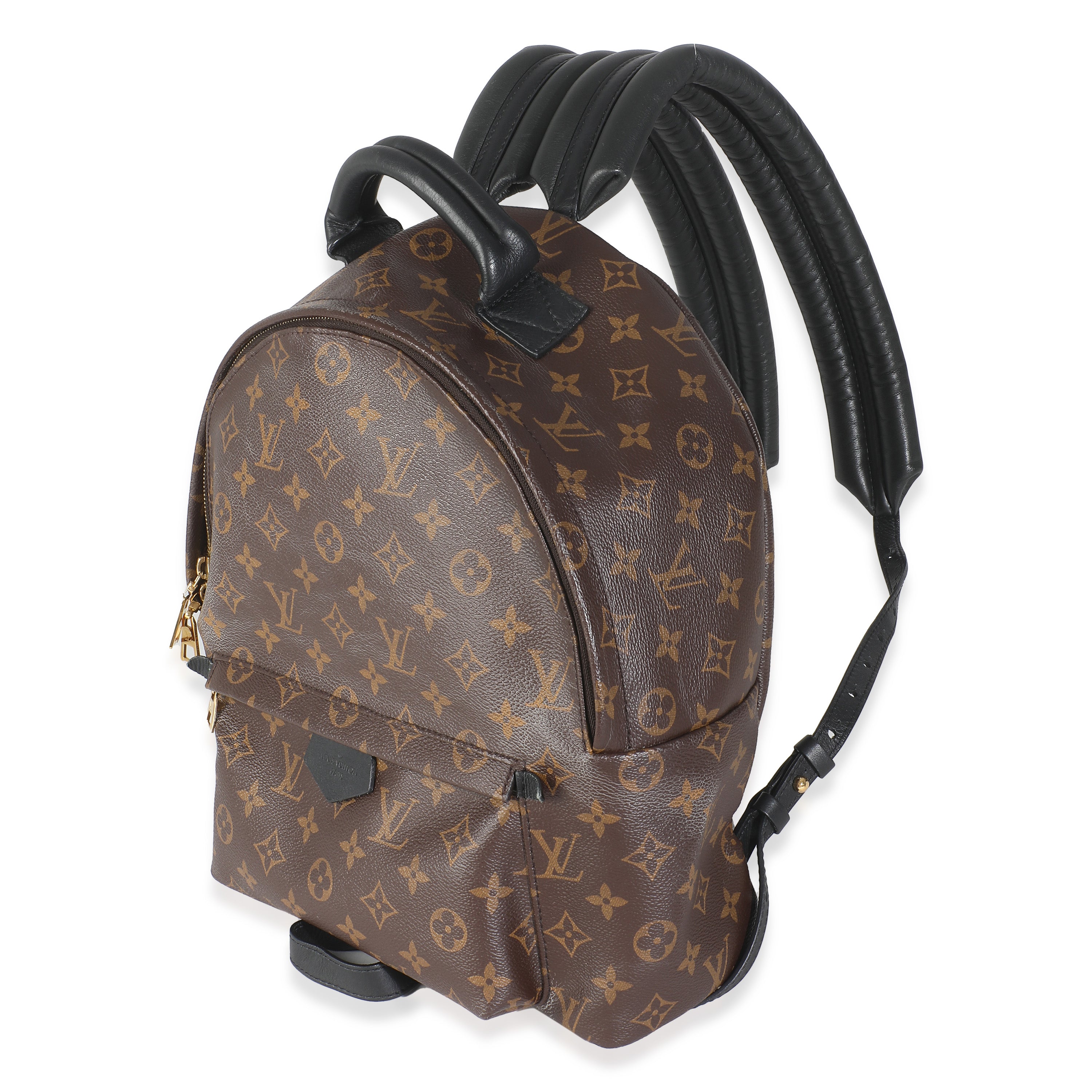 Monogram Canvas Palm Springs MM