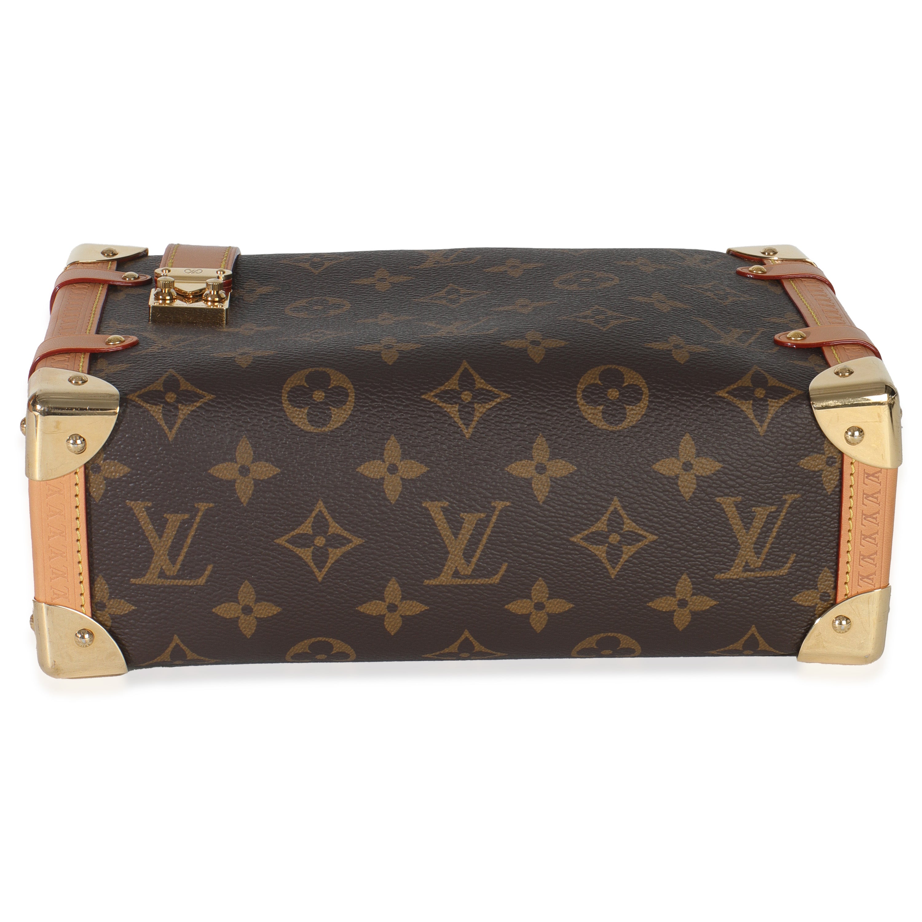 Monogram Canvas Side Trunk MM