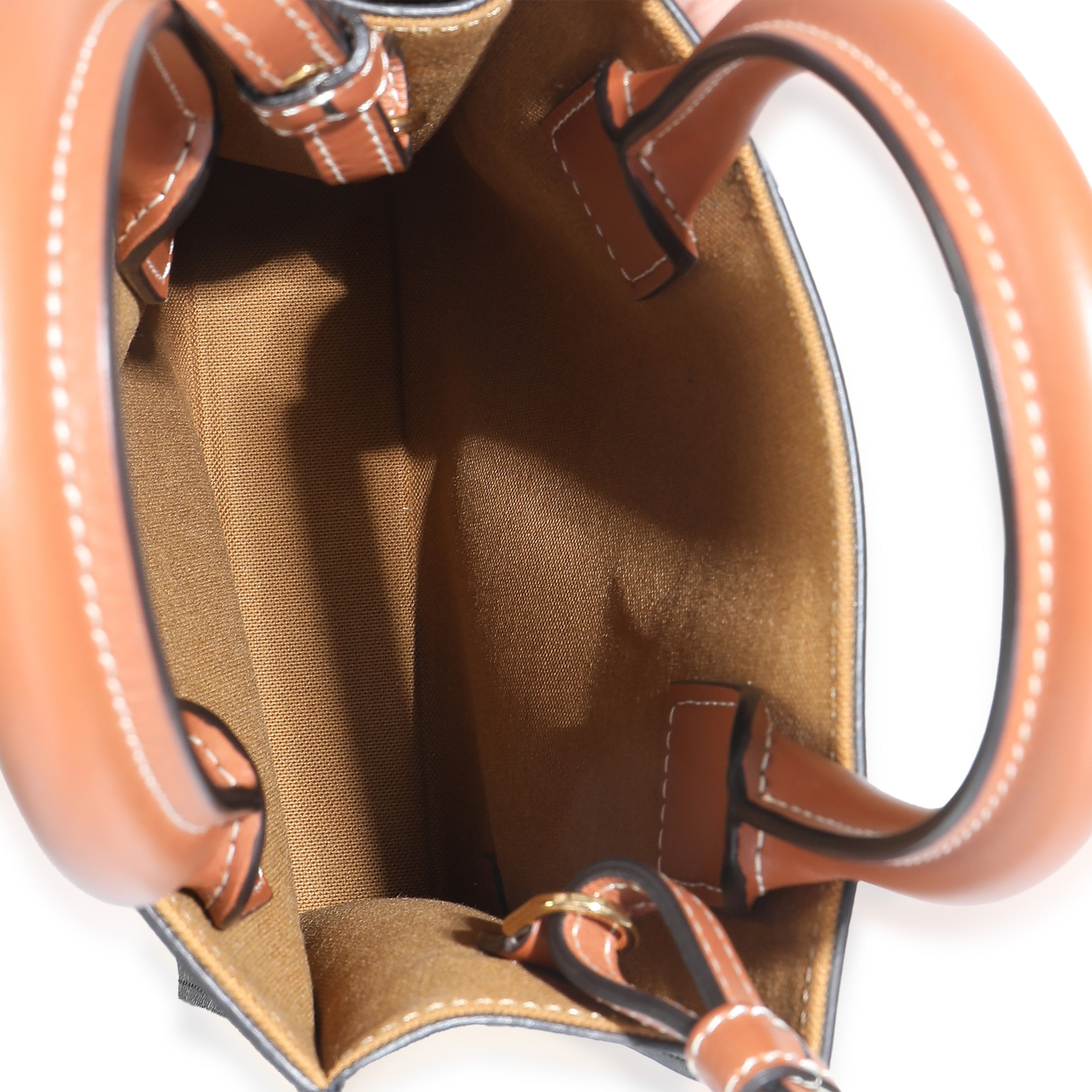 Brown Triomphe Canvas  MIni Vertical Cabas