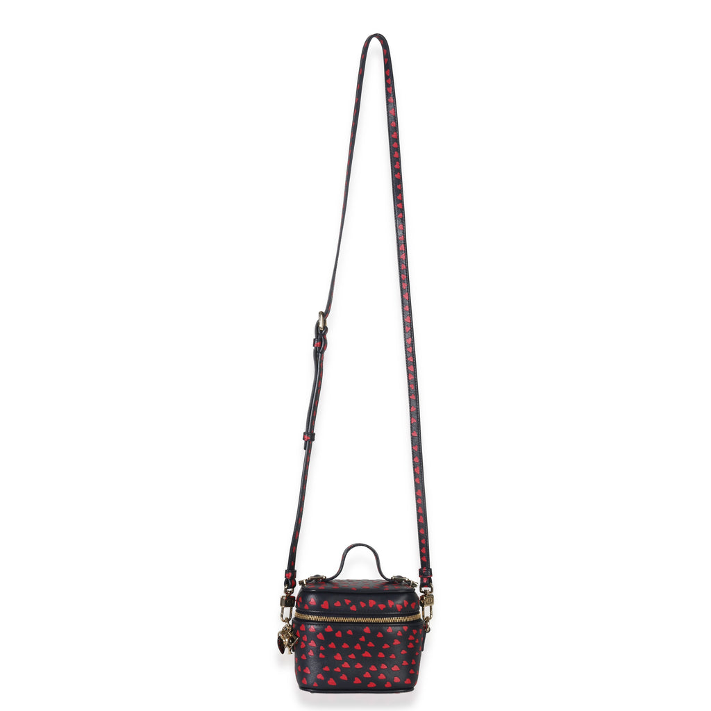 Blue Red Dioramour DiorTravel Micro Vanity Case