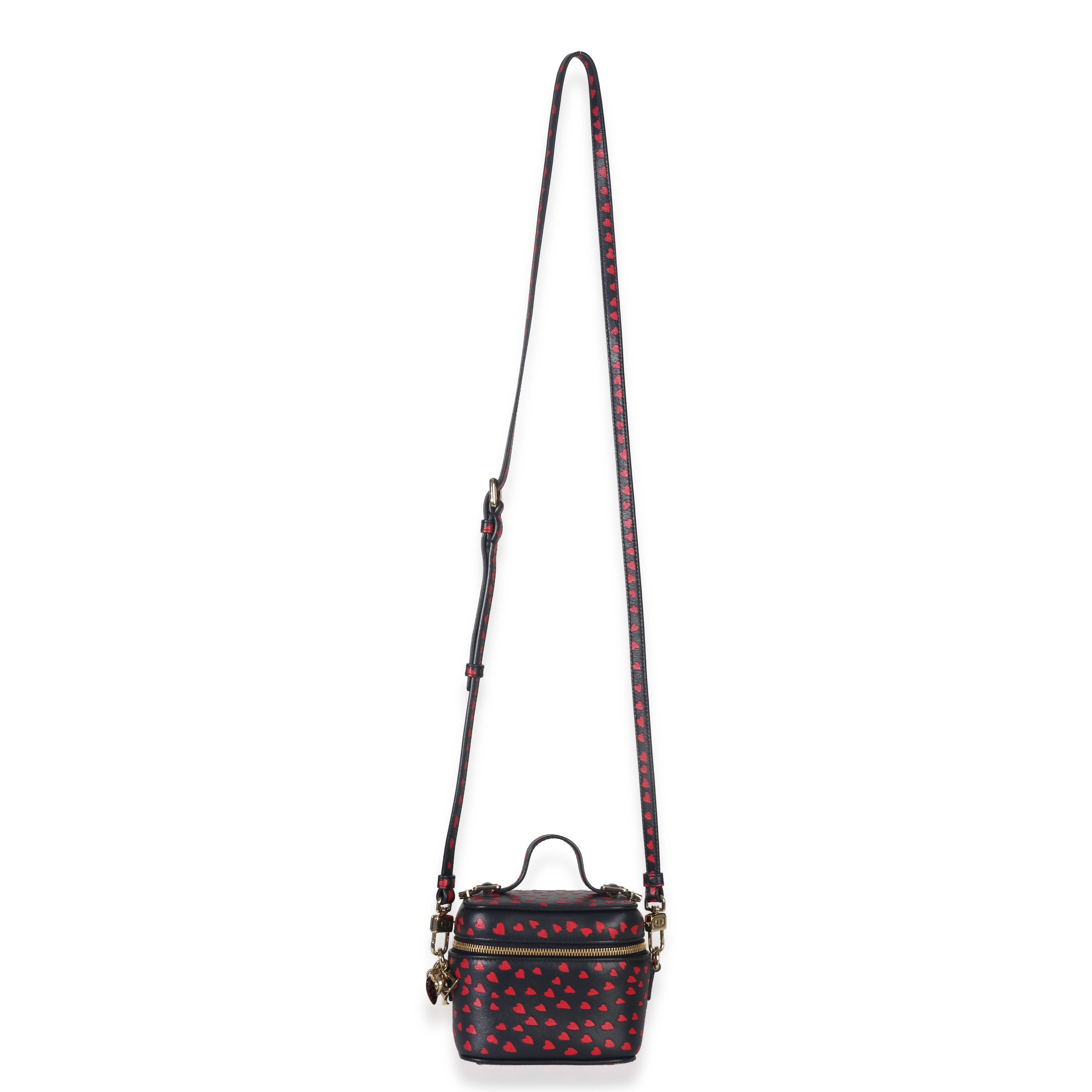 Blue Red Dioramour DiorTravel Micro Vanity Case