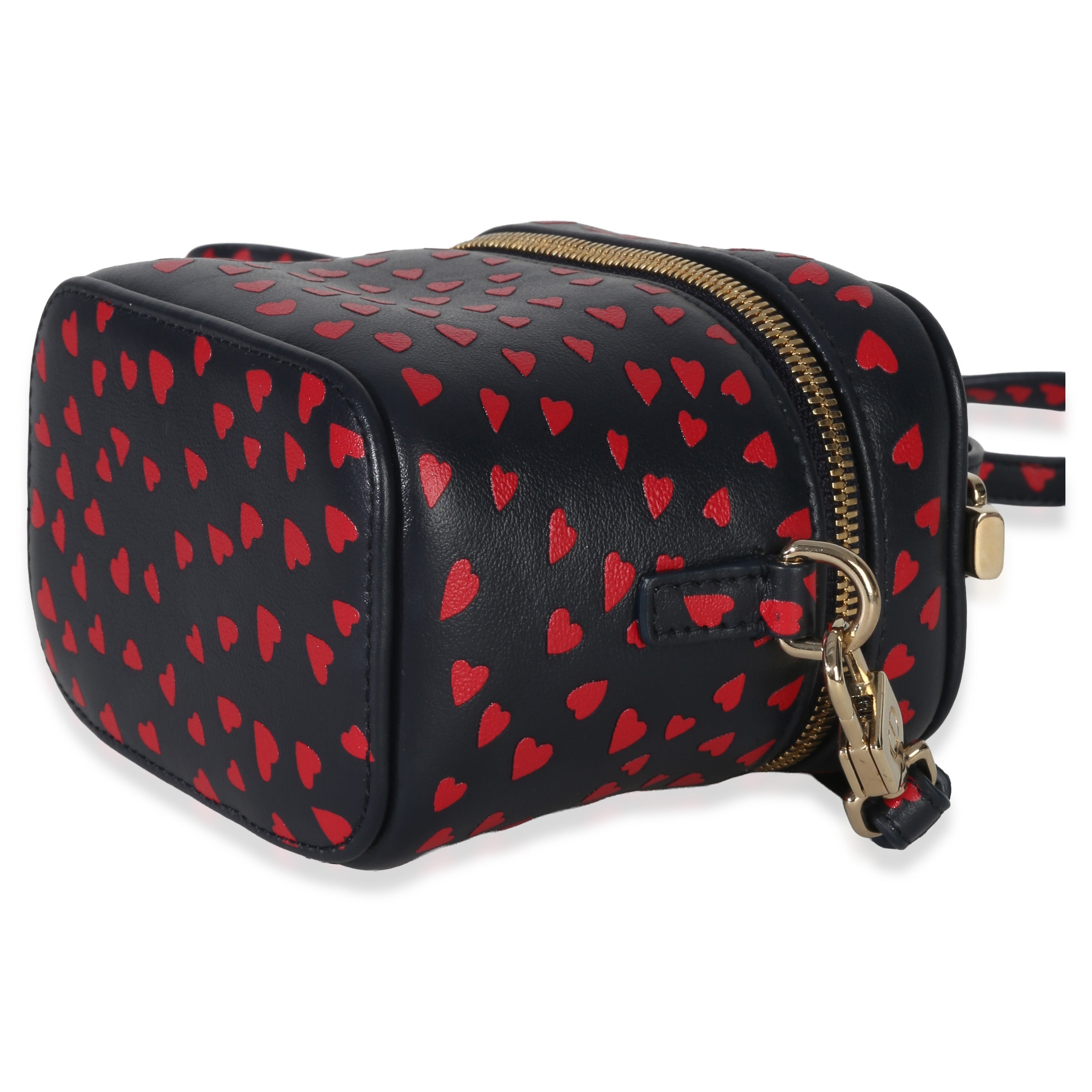 Blue Red Dioramour DiorTravel Micro Vanity Case