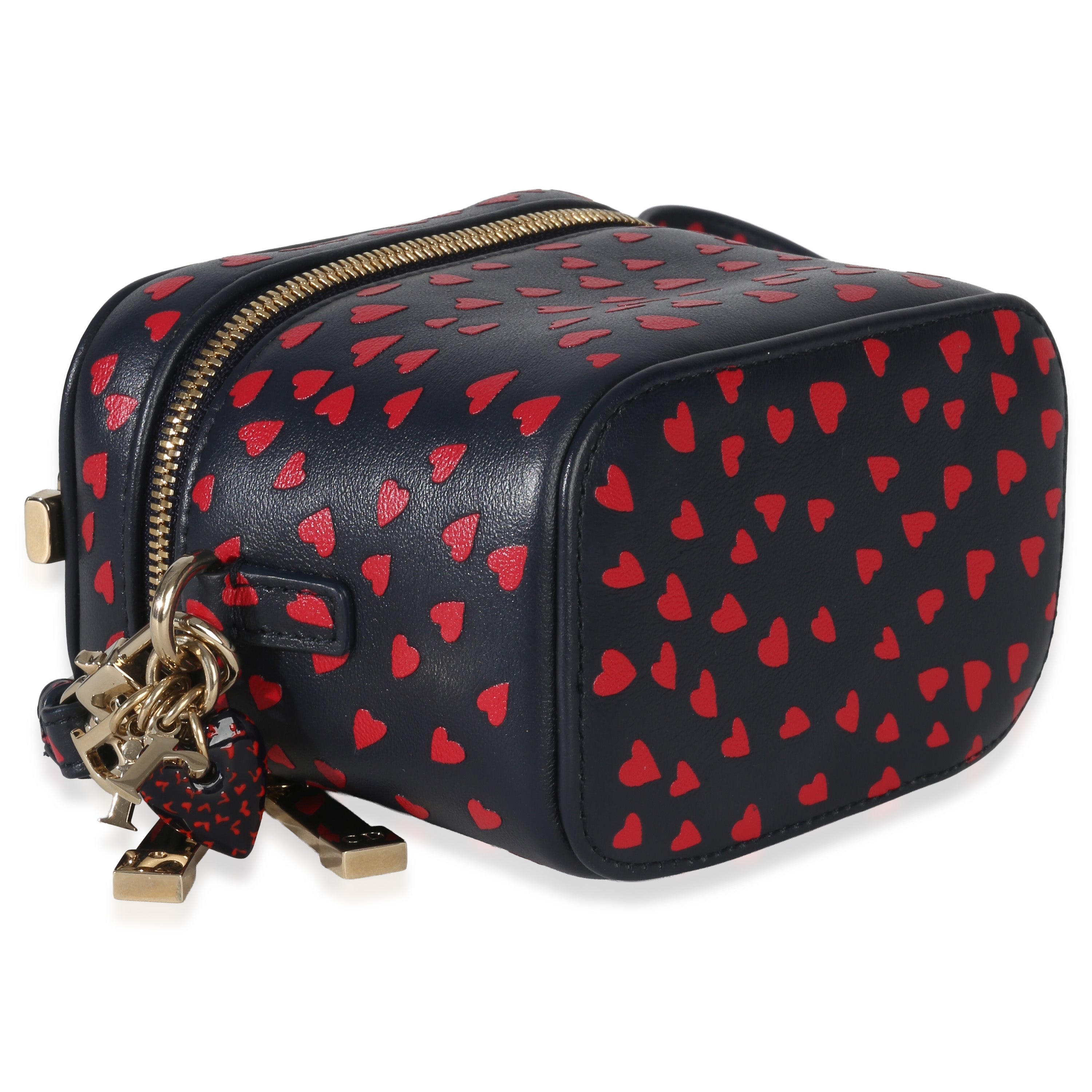 Blue Red Dioramour DiorTravel Micro Vanity Case