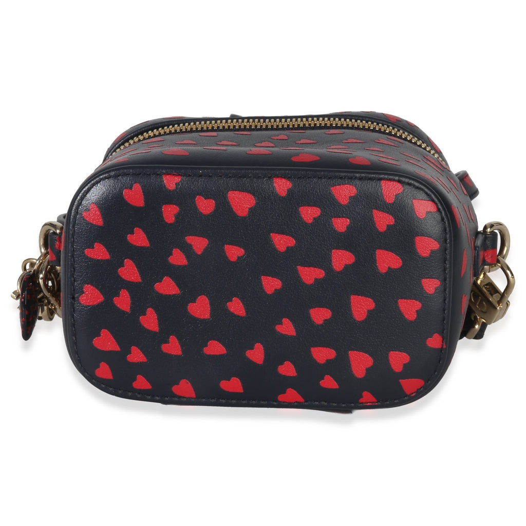Blue Red Dioramour DiorTravel Micro Vanity Case