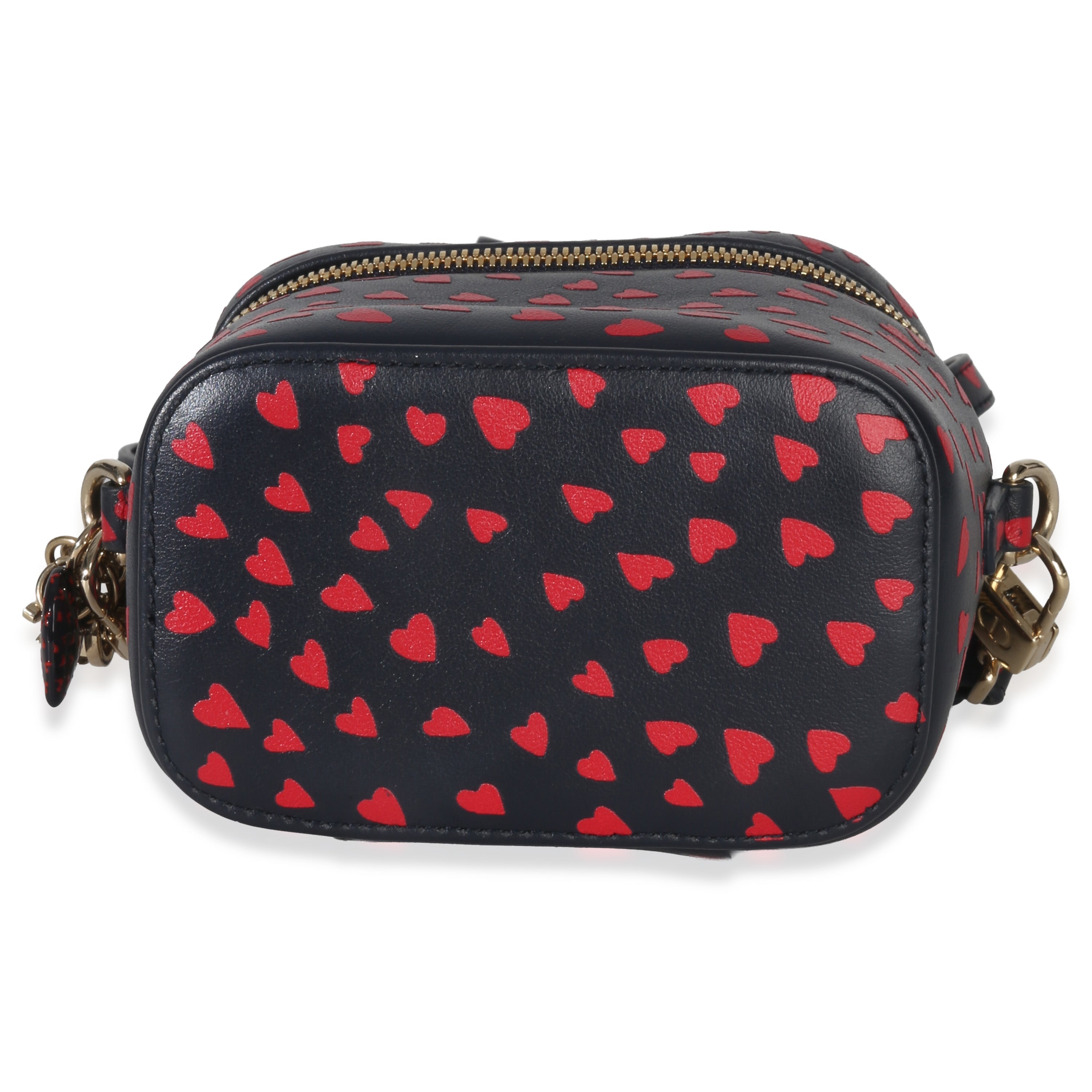 Blue Red Dioramour DiorTravel Micro Vanity Case