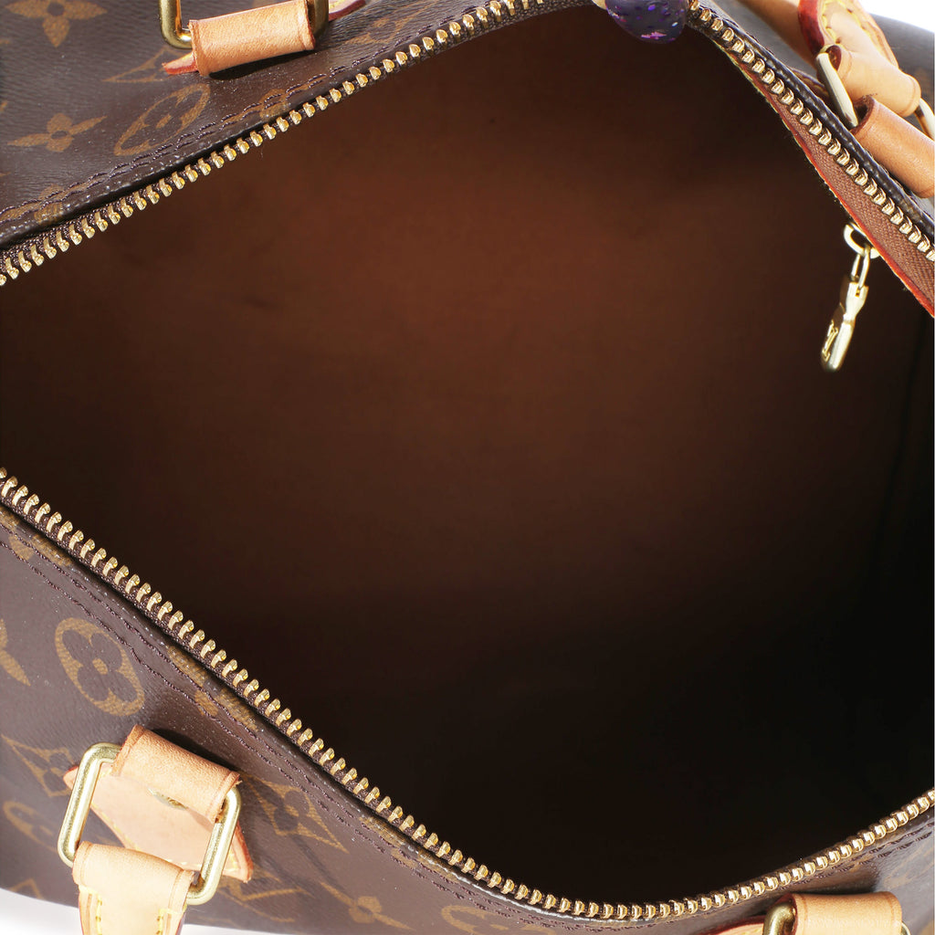 Monogram Canvas Speedy 30