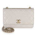 Light Grey Quilted Lambskin Trendy CC Wallet On Chain