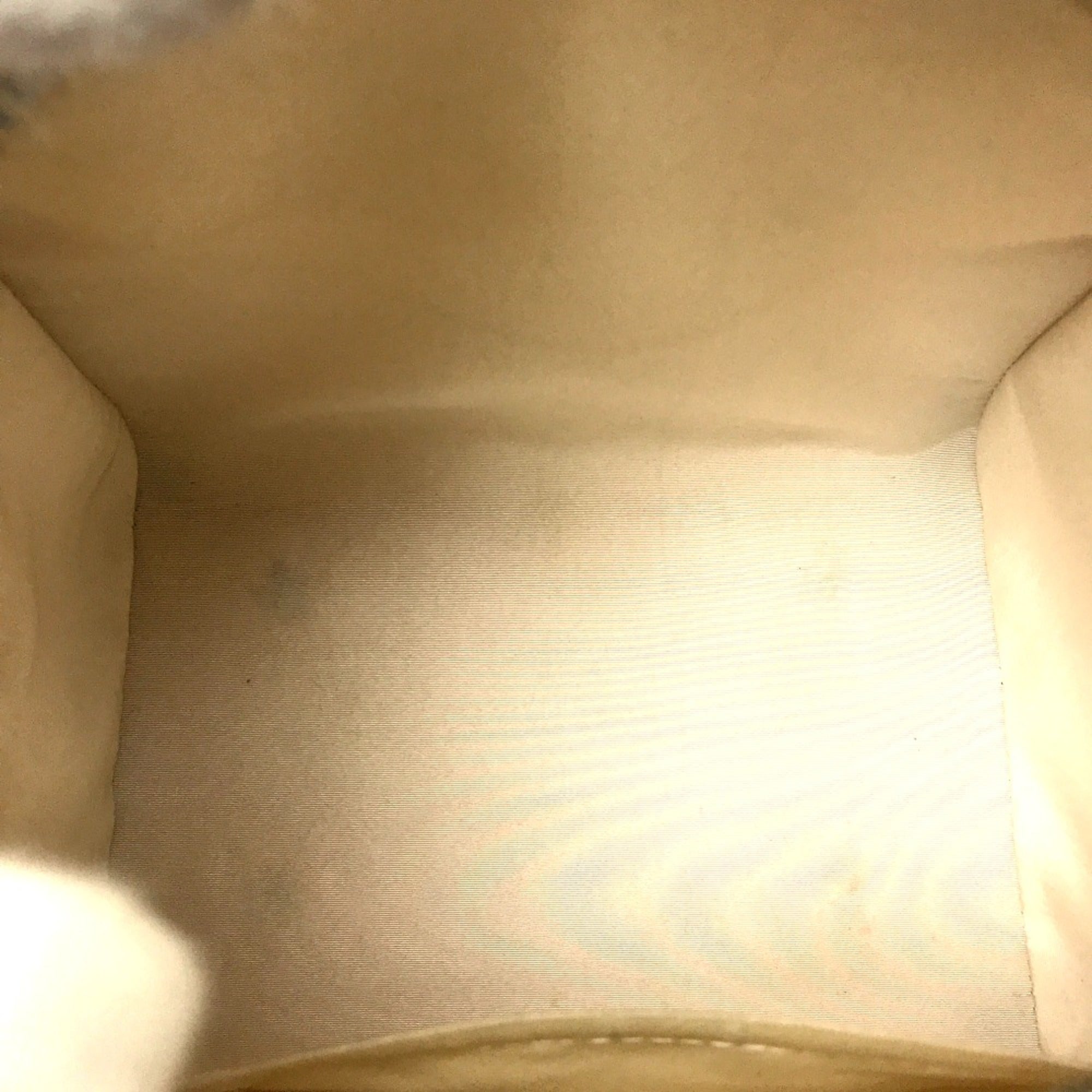 Louis Vuitton White Other Handbag (Pre-Owned)