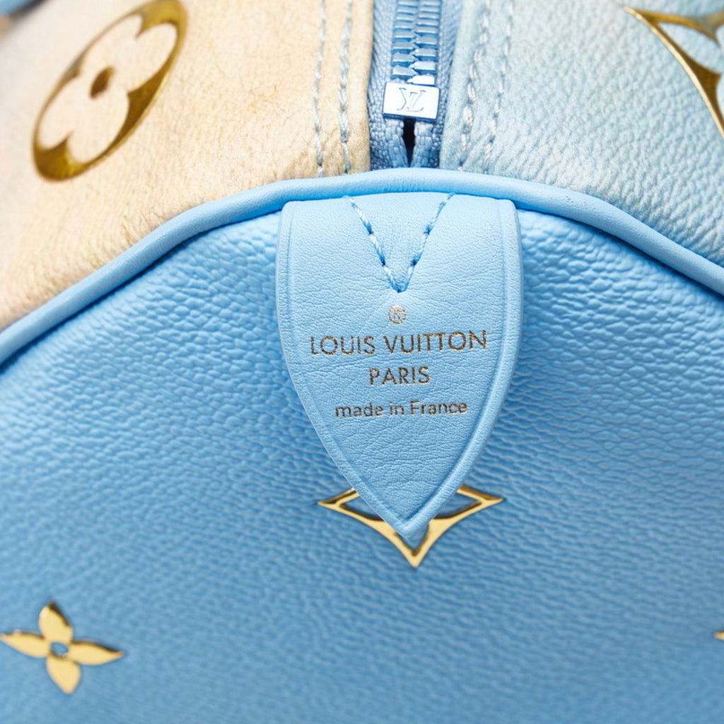 Louis Vuitton Blue Multi-Color Pvc Leather Handbag (Pre-Owned)