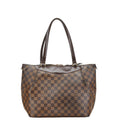 Louis Vuitton Brown Damier Canvas Pvc Leather Shoulder Bag Tote Bag (Pre-Owned)