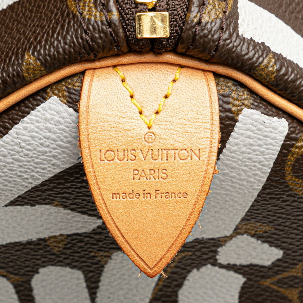 Louis Vuitton Argent Brown Pvc Leather Boston Bag (Pre-Owned)