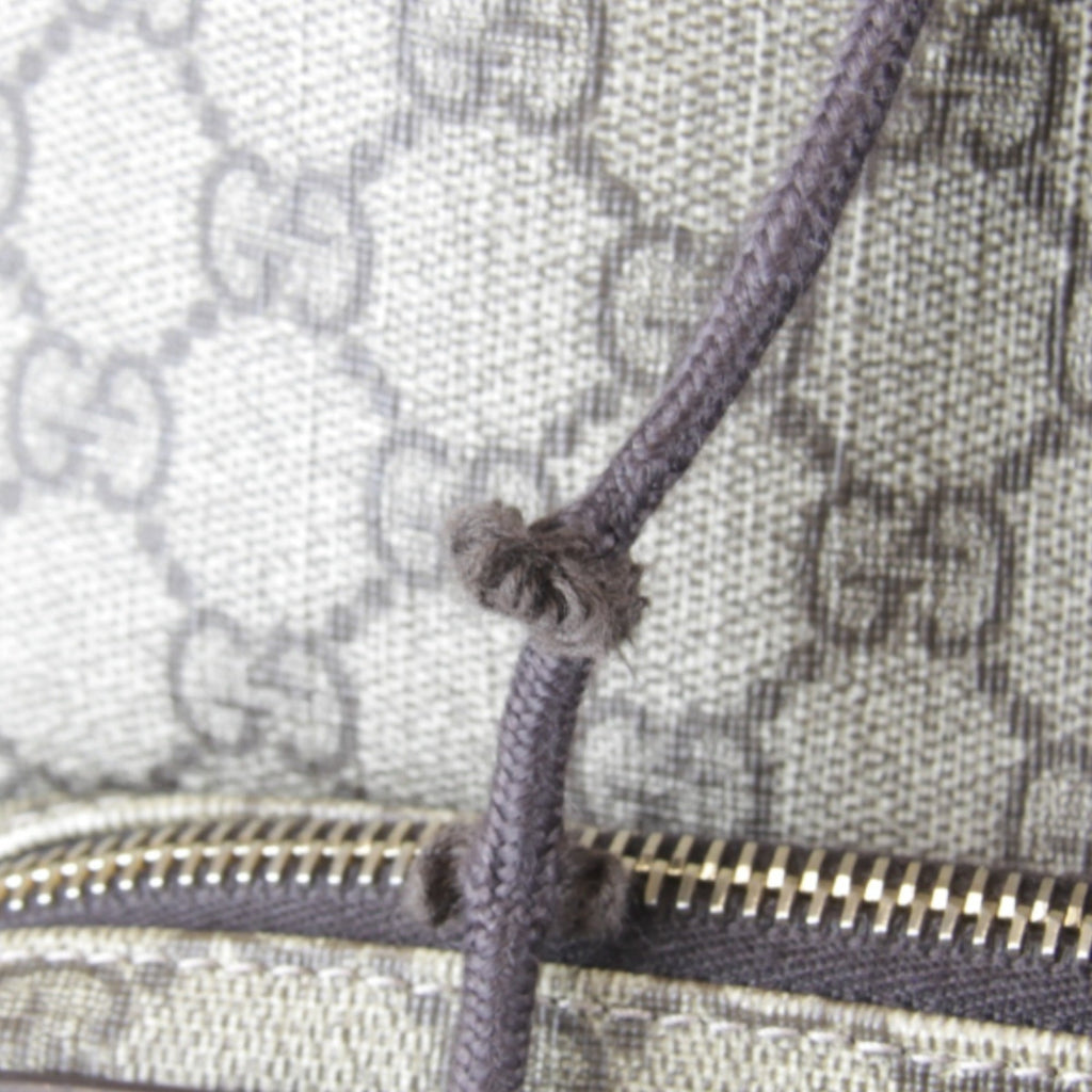 Gucci Gg Plus Beige Gg Plus Backpack (Pre-Owned)
