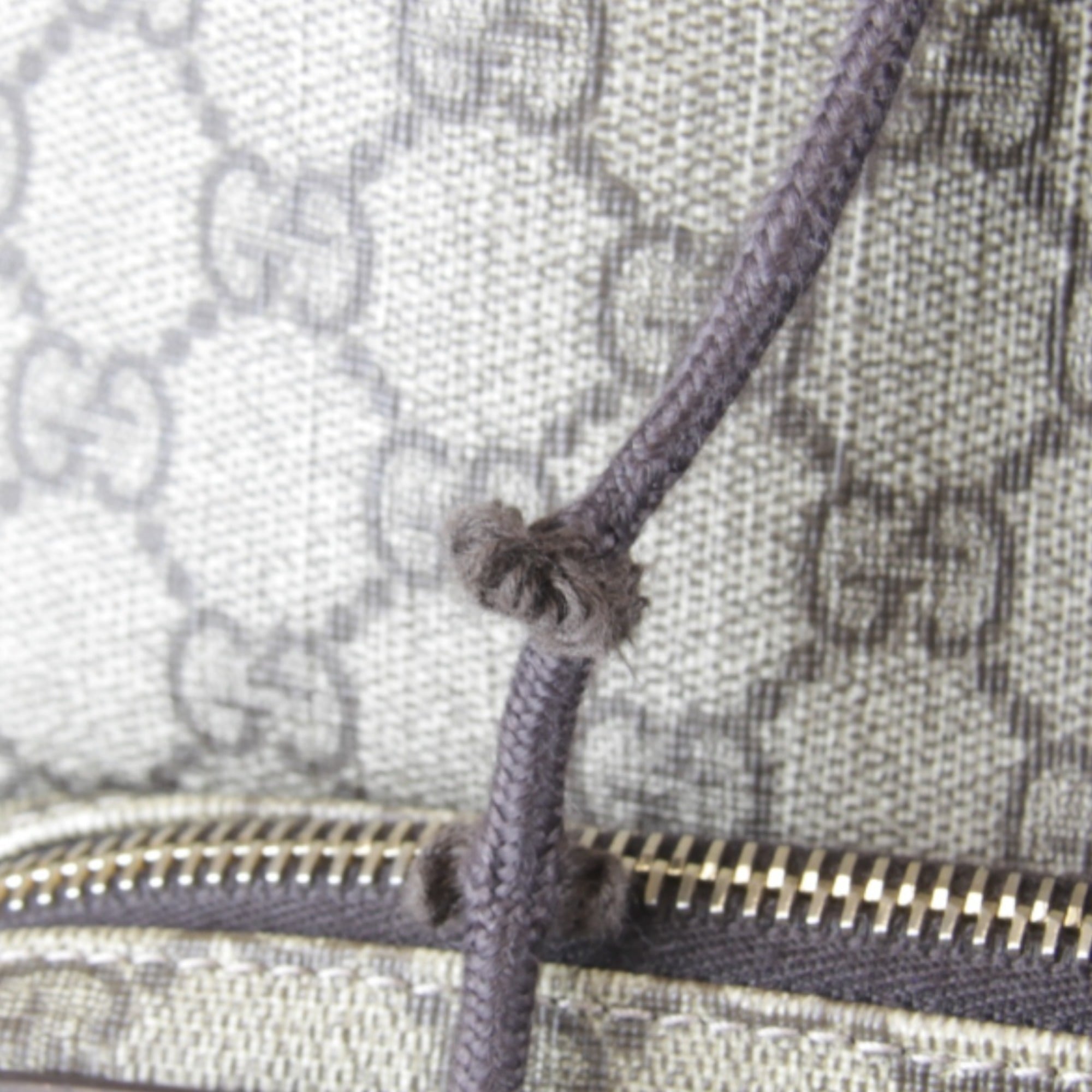 Gucci Gg Plus Beige Gg Plus Backpack (Pre-Owned)