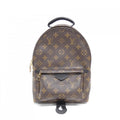 Louis Vuitton Marron Coated Canvas Backpack (Pre-Owned)