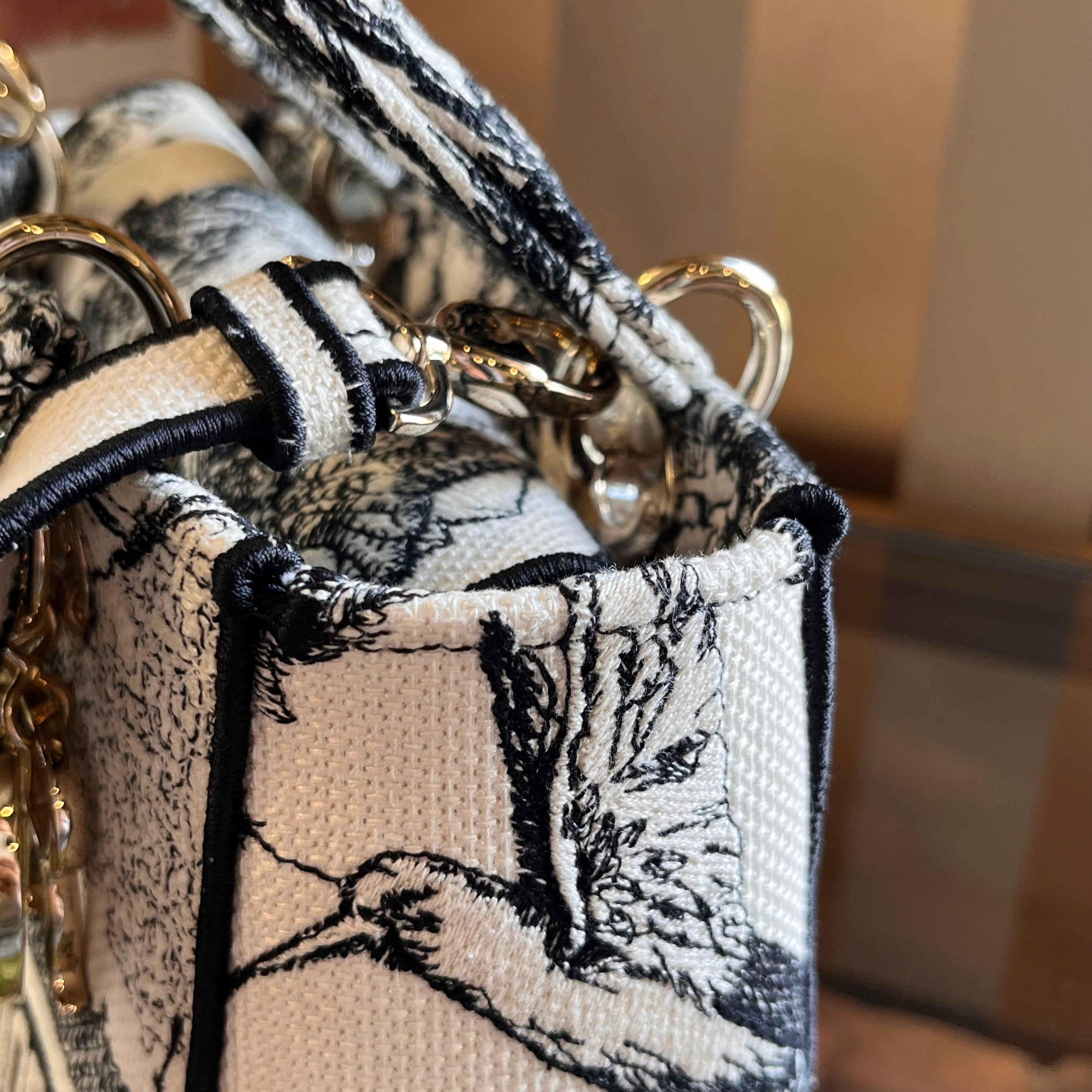 DIOR Lady Dior Medium Dior Zodiac Embroidery Tote
