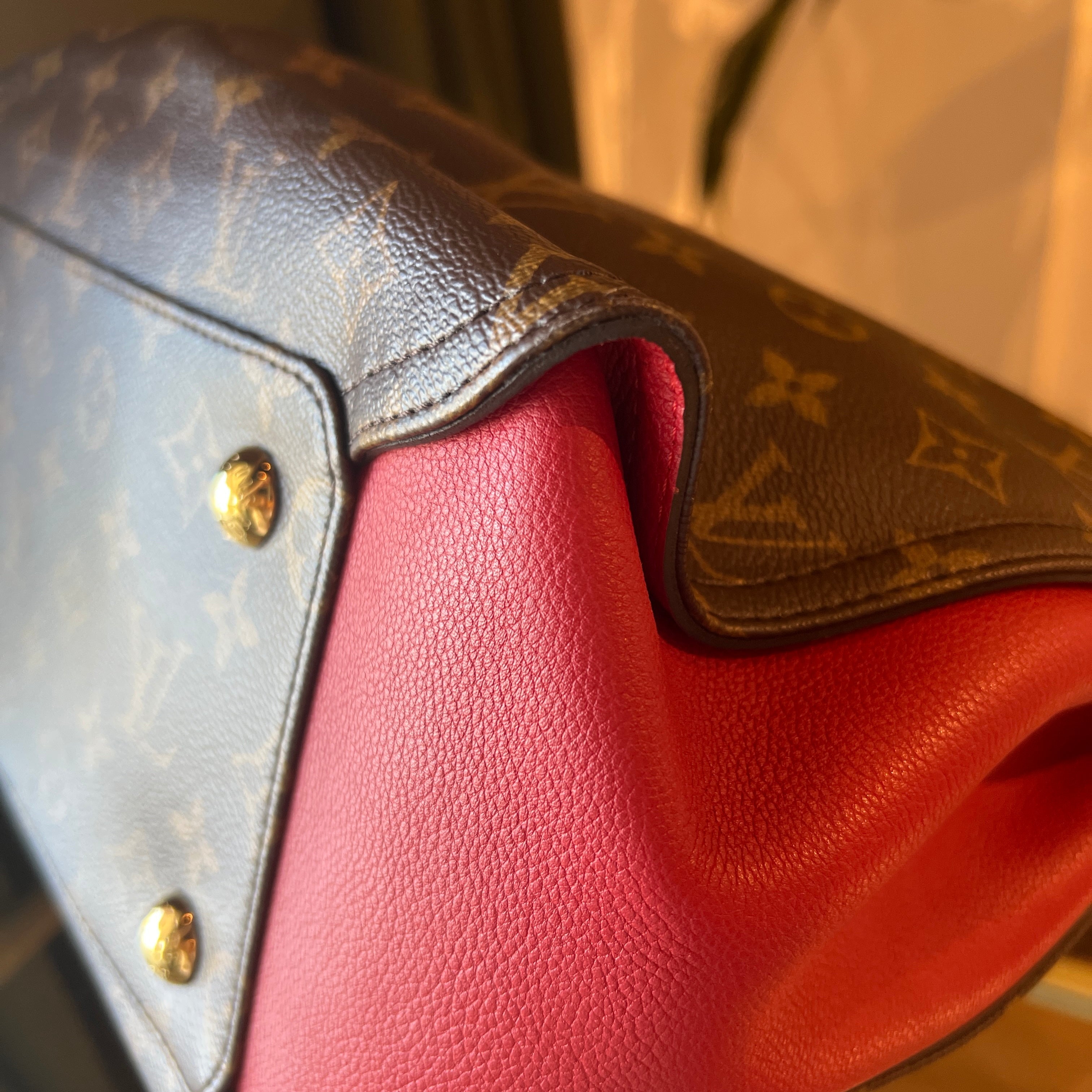 LOUIS VUITTON Gaia Cerise Monogram Canvas Hobo Bag