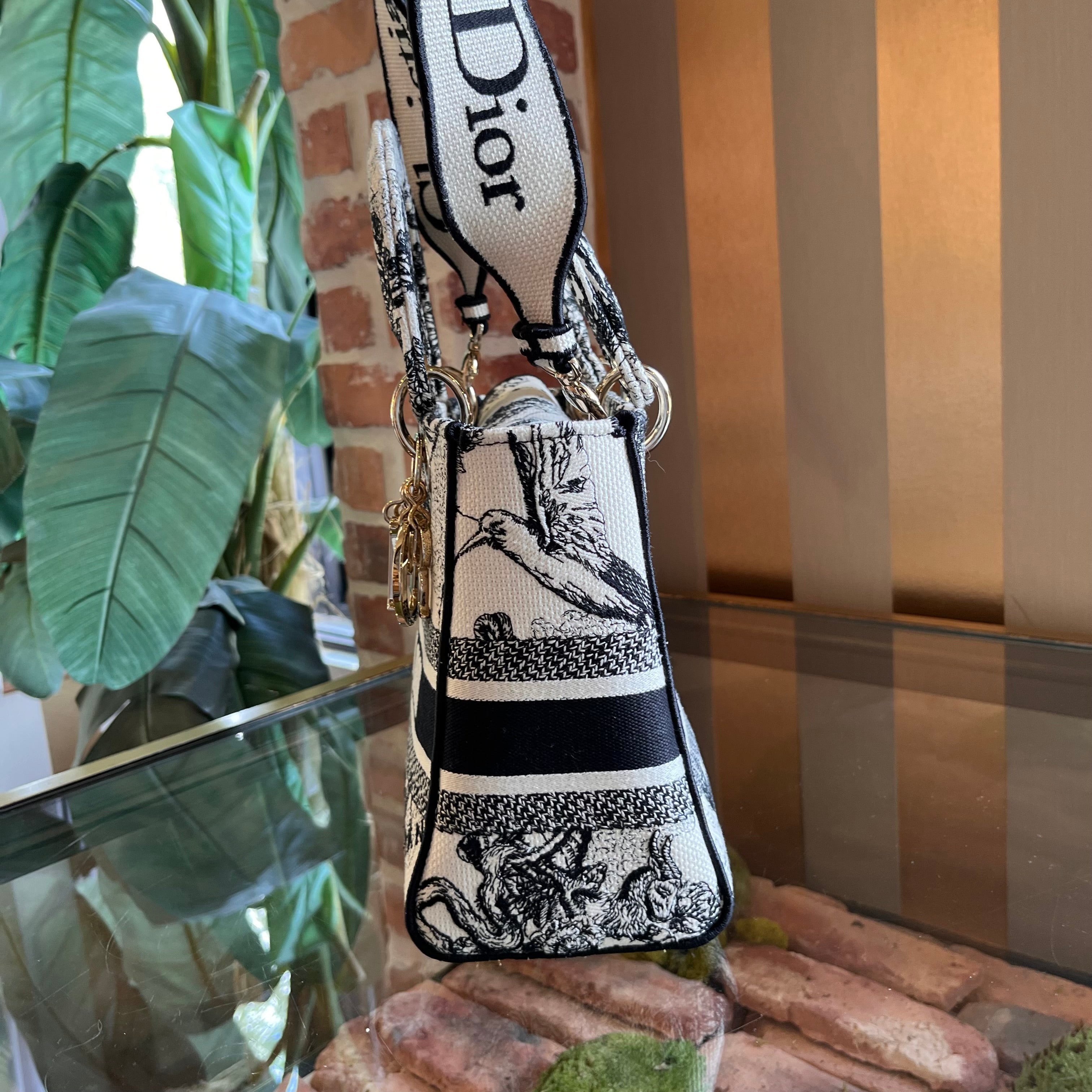 DIOR Lady Dior Medium Dior Zodiac Embroidery Tote