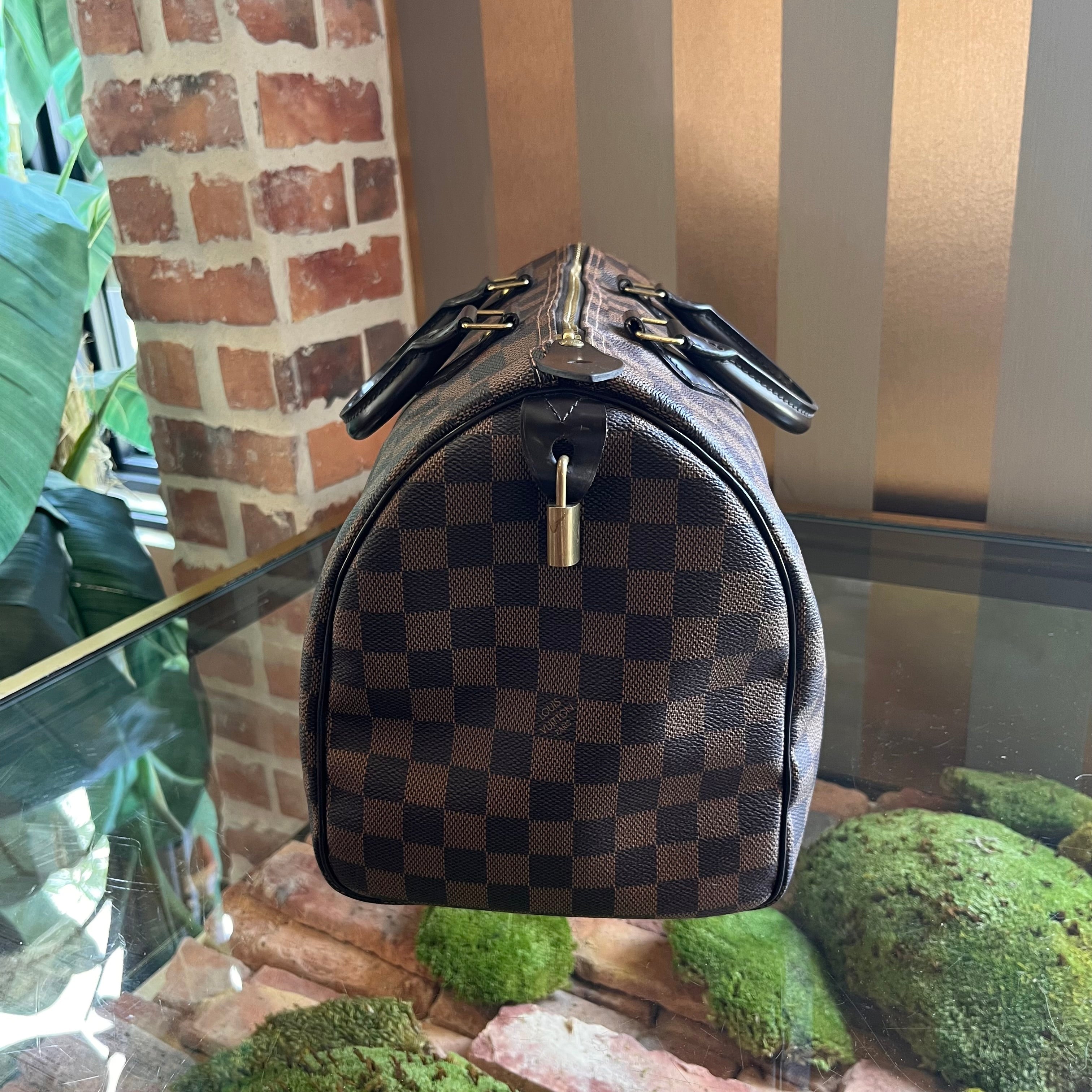 LOUIS VUITTON Damier Ebene Speedy 30 Satchel