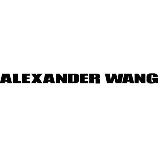 ALEXANDER WANG HEIRESS CRYSTAL MEDIUM POUCH BAG