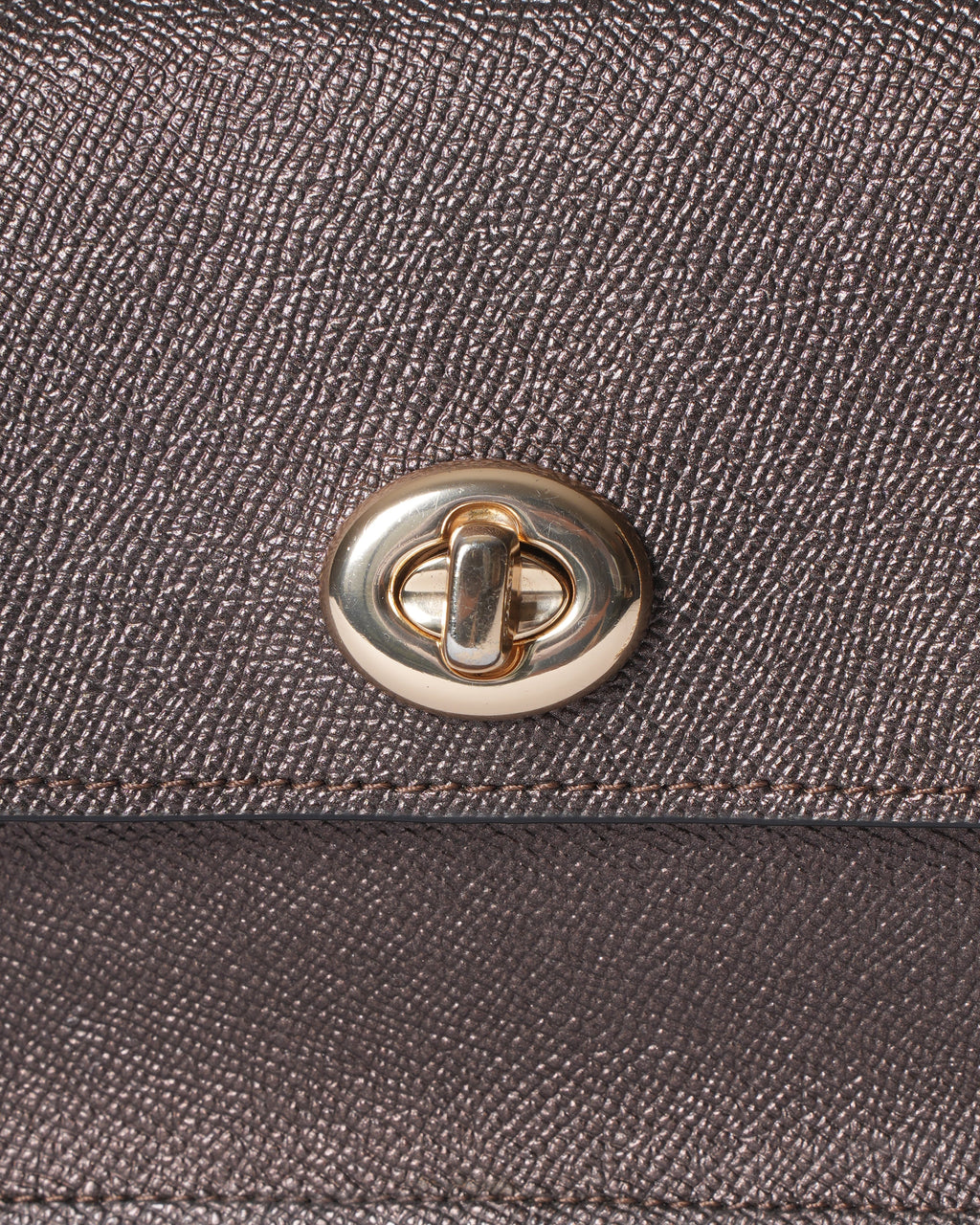 Coach Brown Bag