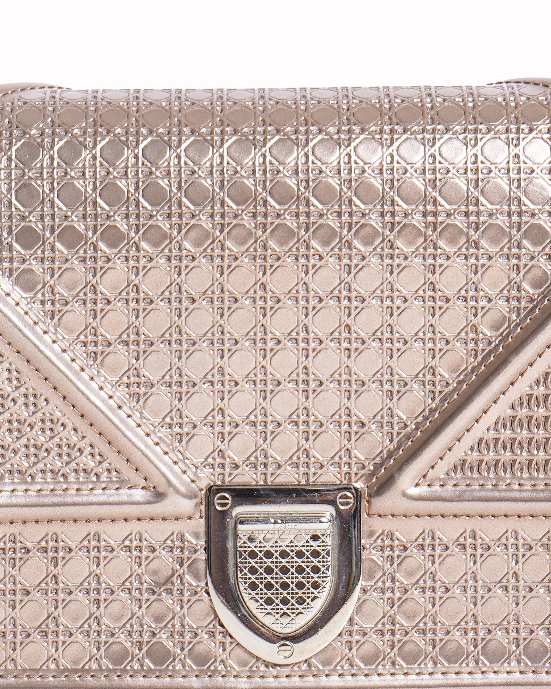 Chriatian Dior Small Leather Diorama Shoulder Bag