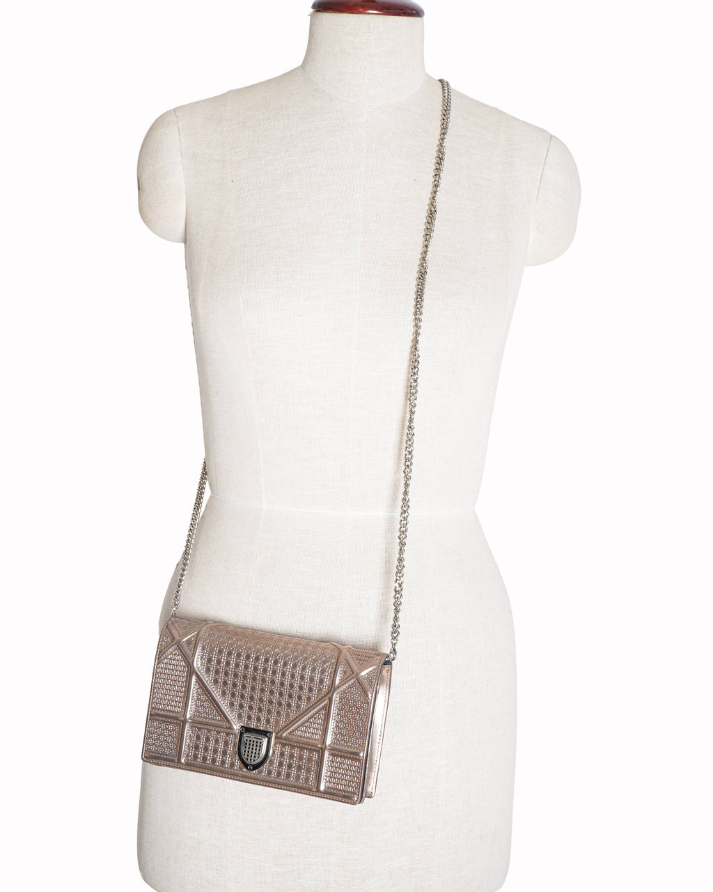 Chriatian Dior Small Leather Diorama Shoulder Bag