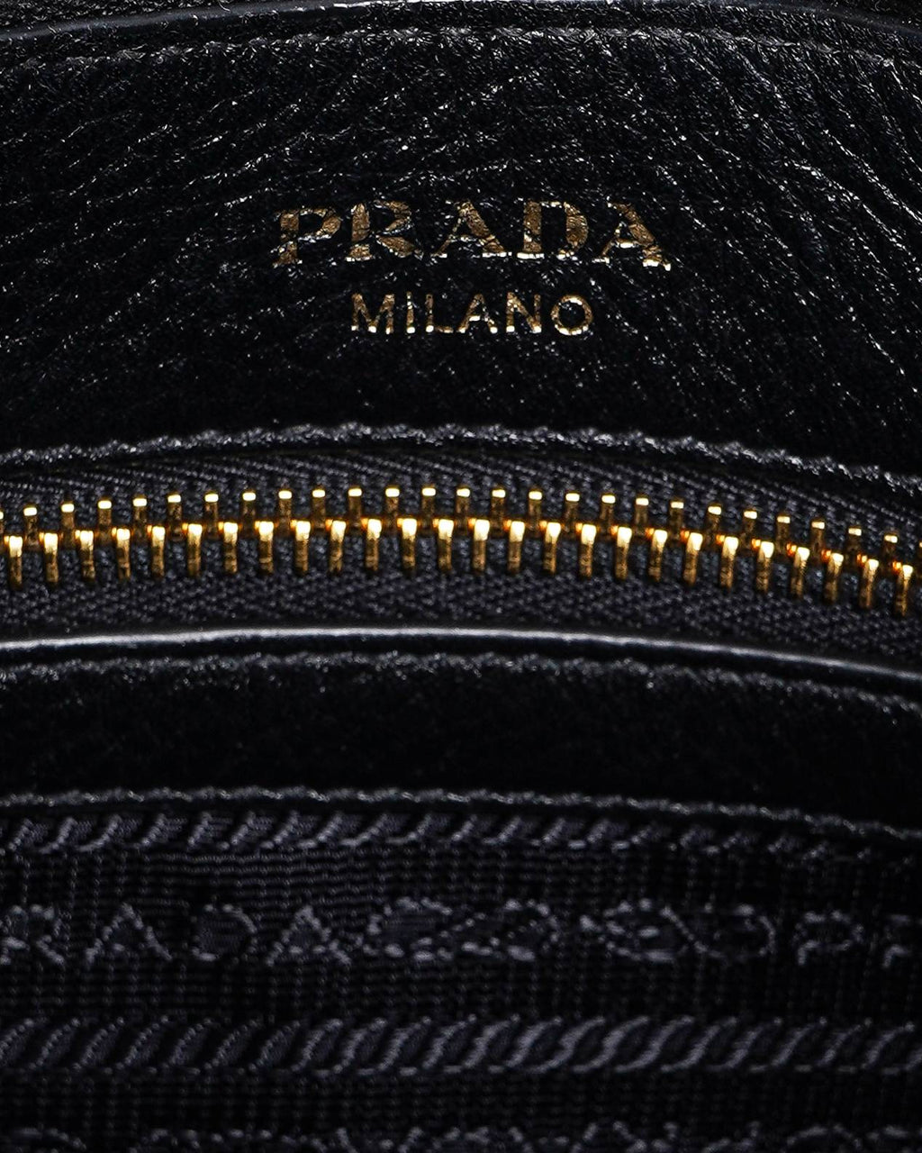 Prada vitello diano phenix hobo crossbody bag