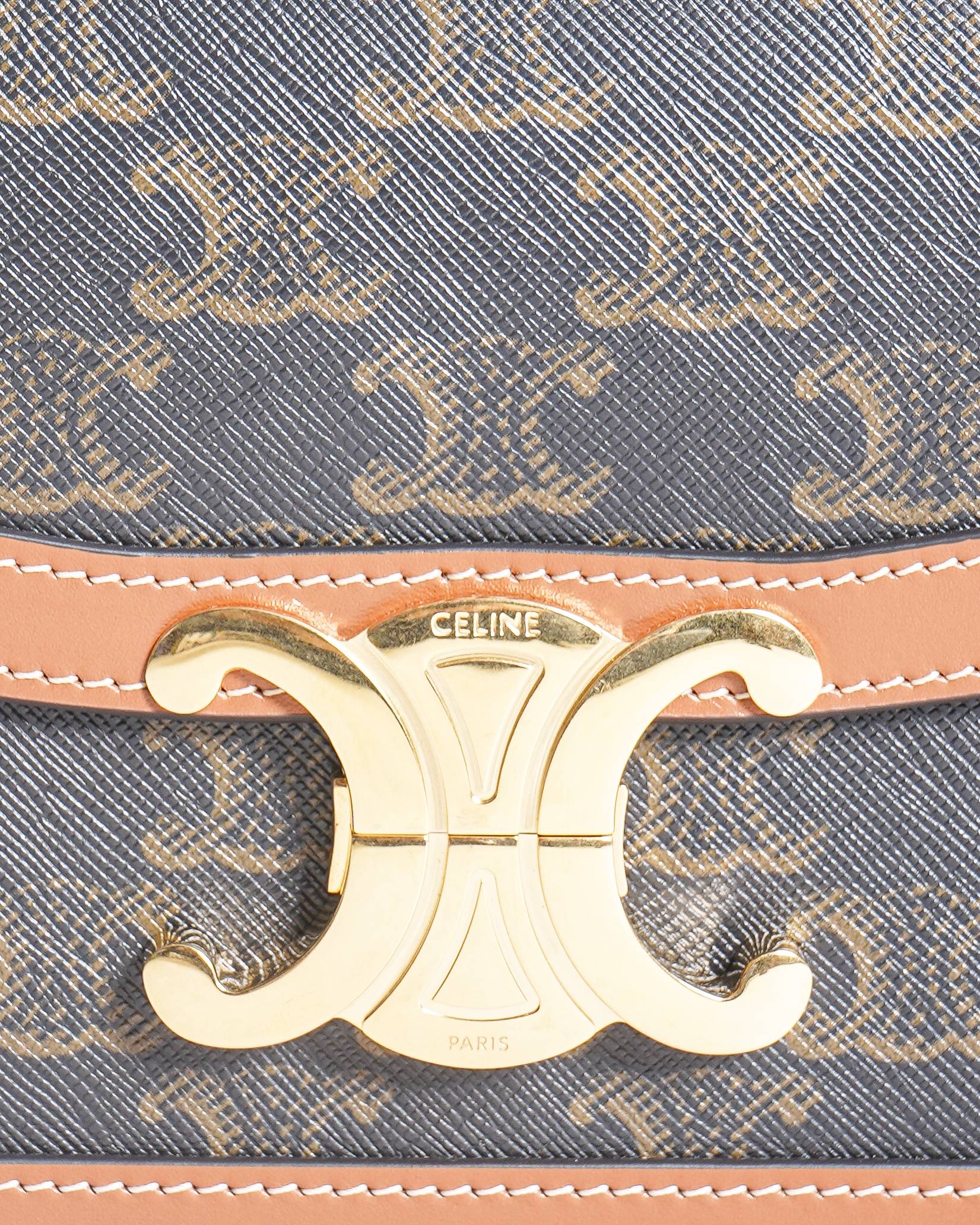Celine Teen Triomphe Bag in Triomphe Canvas & Calfskin Leather