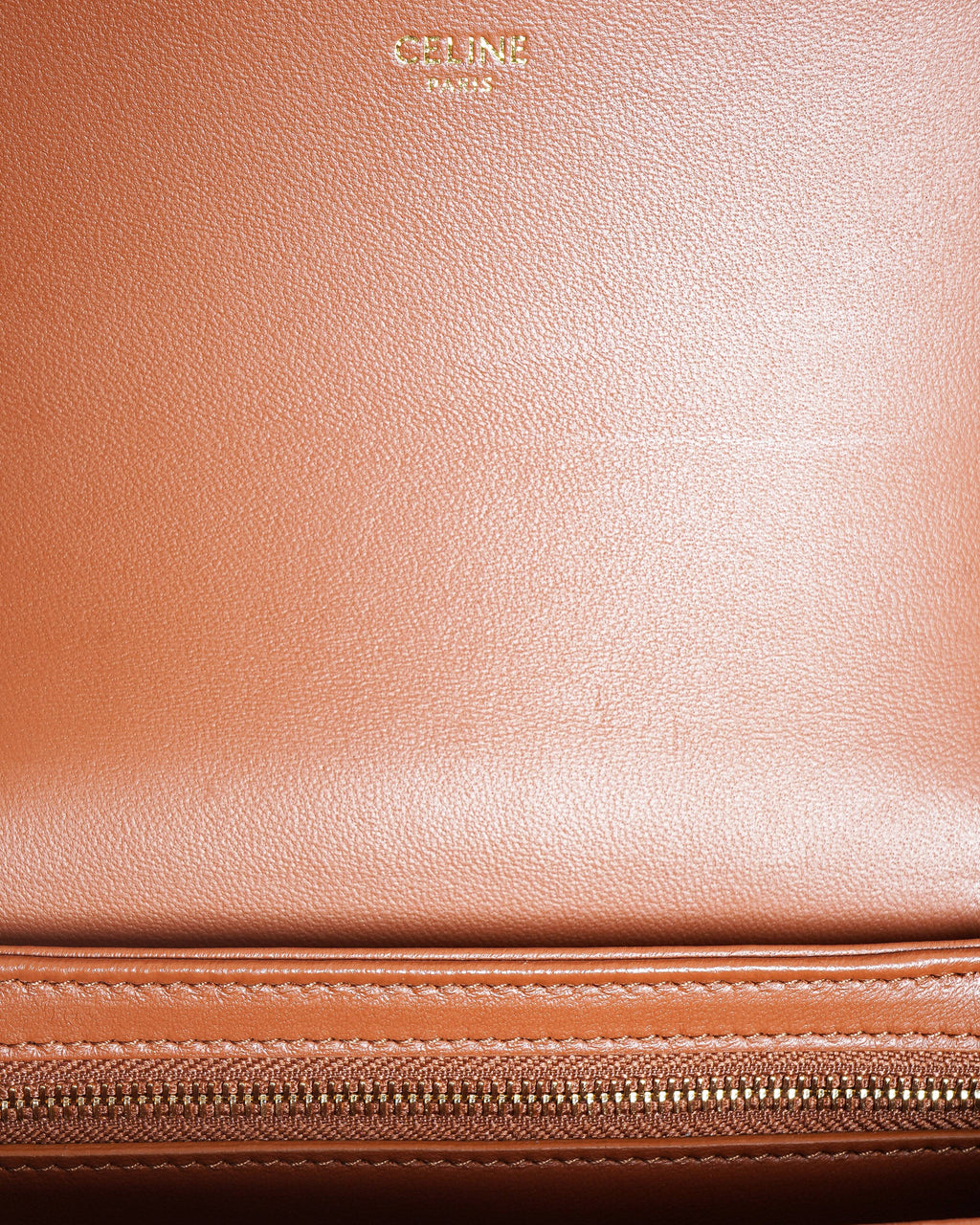 Celine Teen Triomphe Bag in Triomphe Canvas & Calfskin Leather
