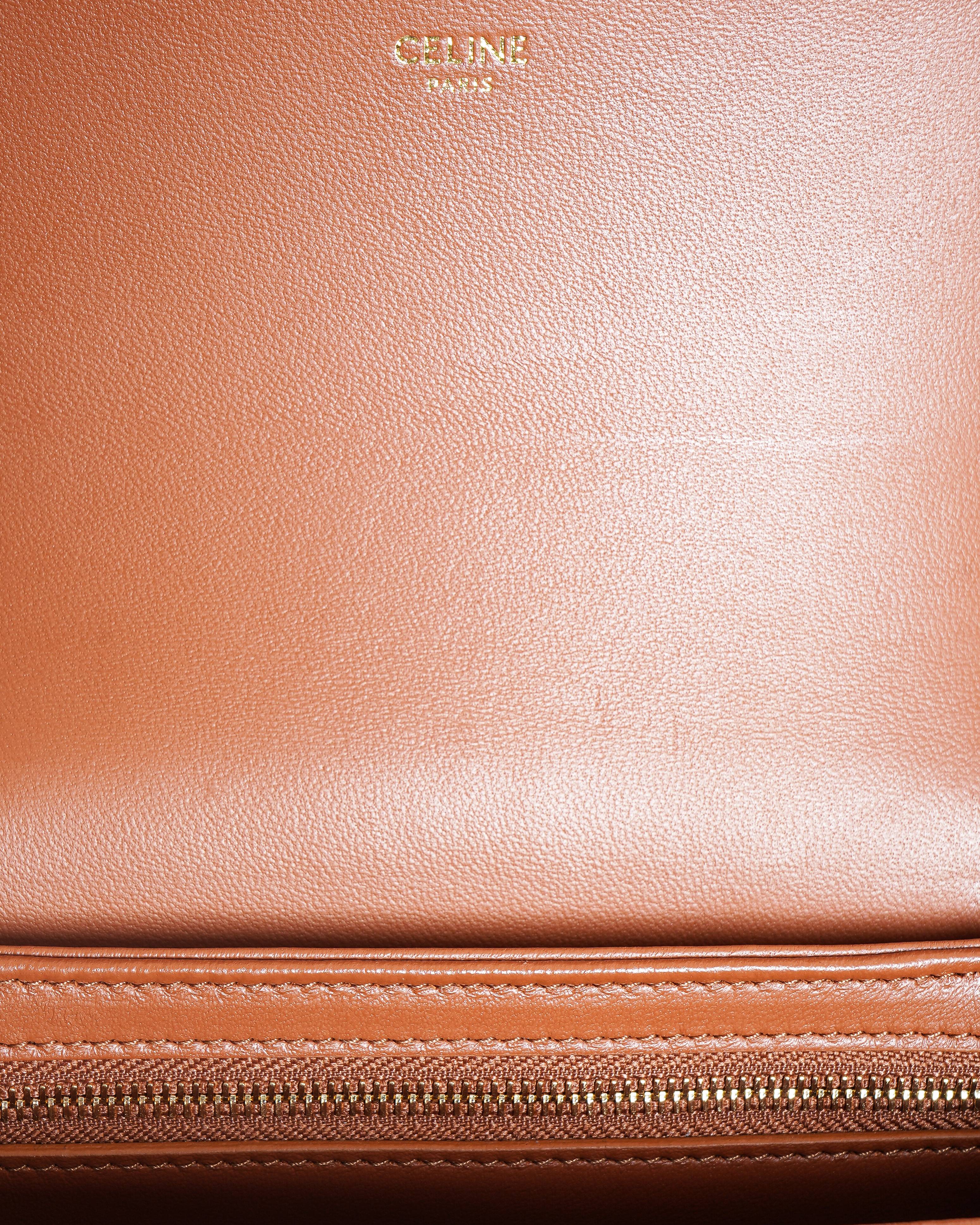 Celine Teen Triomphe Bag in Triomphe Canvas & Calfskin Leather
