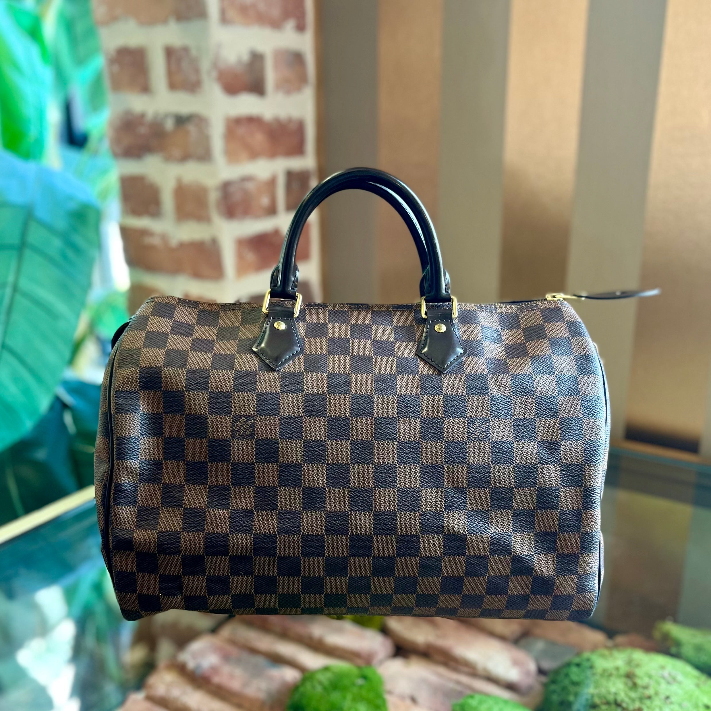 LOUIS VUITTON Damier Ebene Speedy 30 Satchel