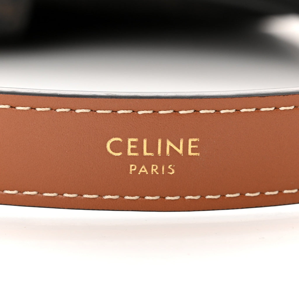 CÉLINE CALFSKIN & COATED CANVAS MEDIUM AVA TRIOMPH HOBO BAG