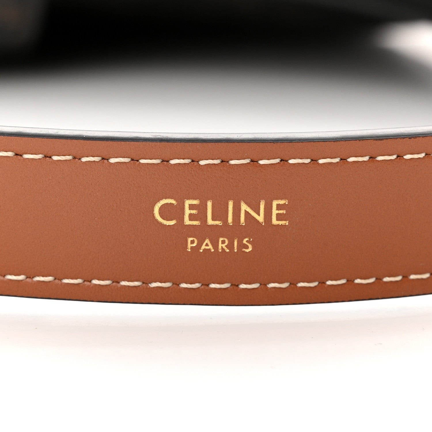 CÉLINE CALFSKIN & COATED CANVAS MEDIUM AVA TRIOMPH HOBO BAG