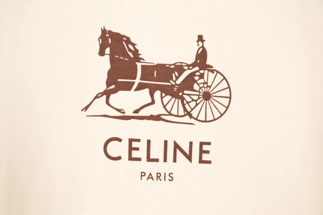 CÉLINE CALFSKIN & COATED CANVAS MEDIUM AVA TRIOMPH HOBO BAG