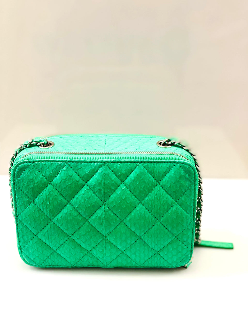 CHANEL DOUBLE ZIP SNAKESKIN EMBOSSED LEATHER SMALL CAMERA BAG