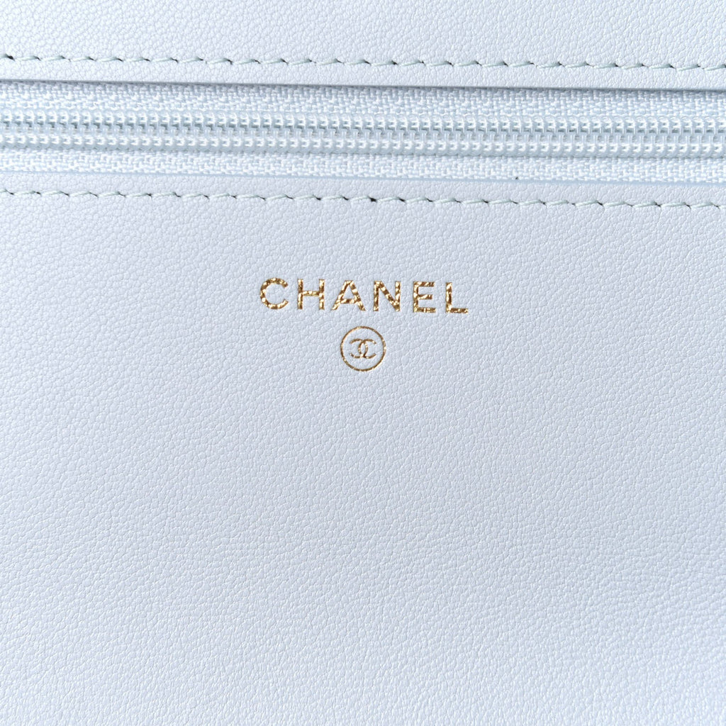 CHANEL QUILTED LAMBSKIN CHANEL 19 WALLET ON A CHAIN