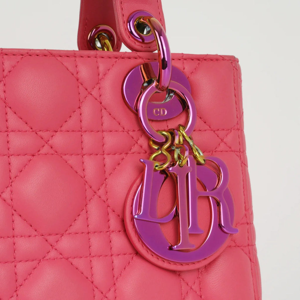 DIOR CANNAGE SMALL RAINBOW LADY DIOR LAMBSKIN LEATHER BAG
