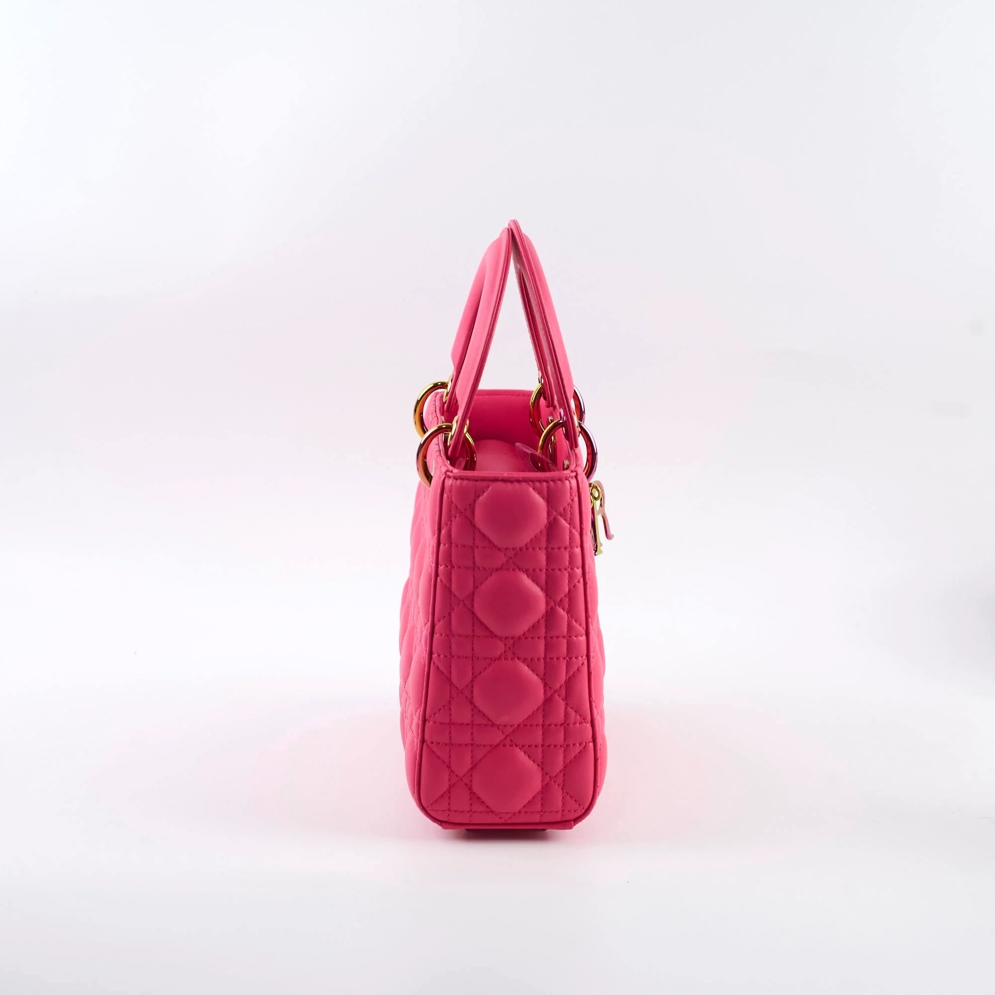 DIOR CANNAGE SMALL RAINBOW LADY DIOR LAMBSKIN LEATHER BAG