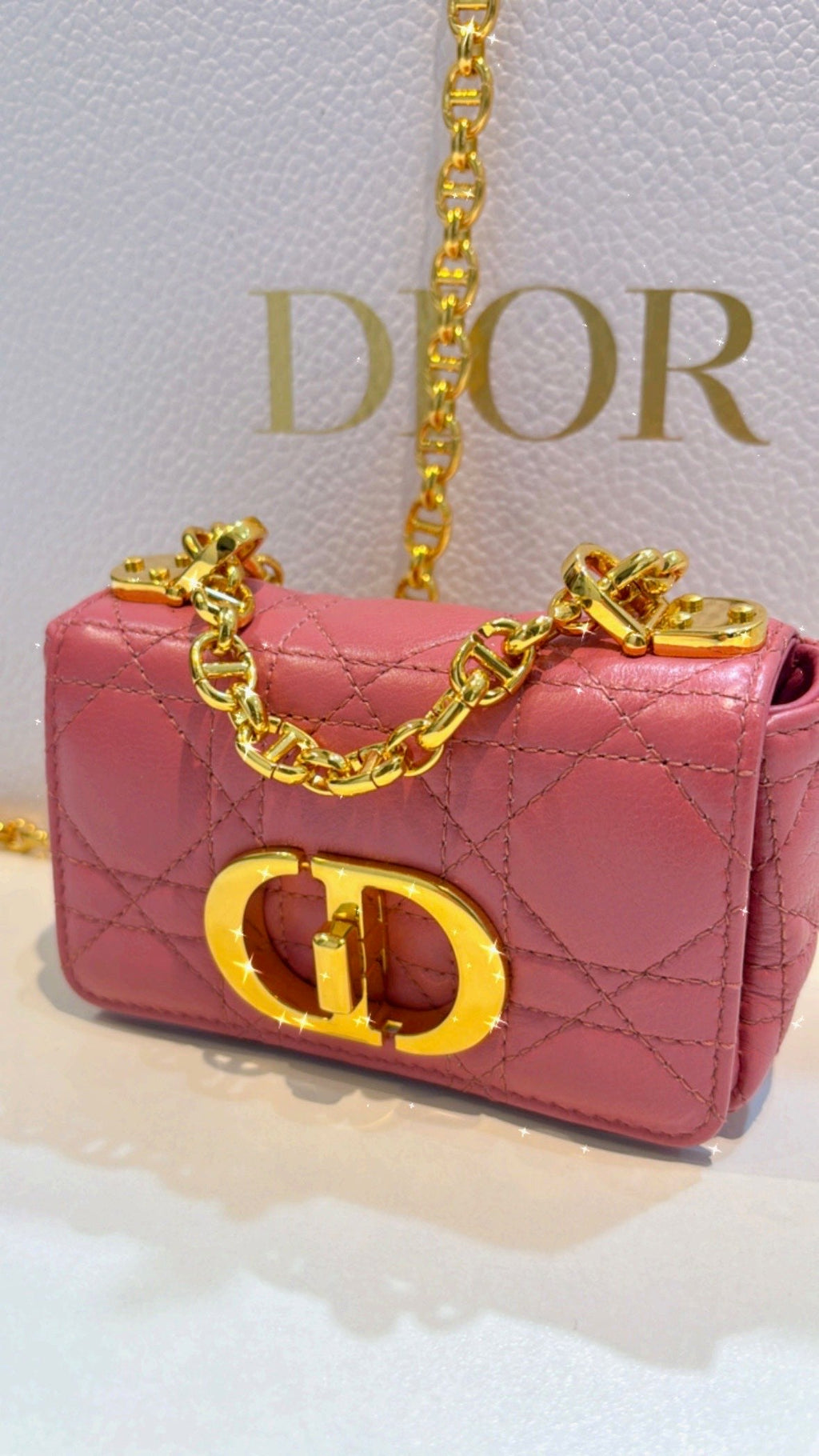 DIOR CANNAGE MINI CARO CALFSKIN LEATHER CROSSBODY BAG