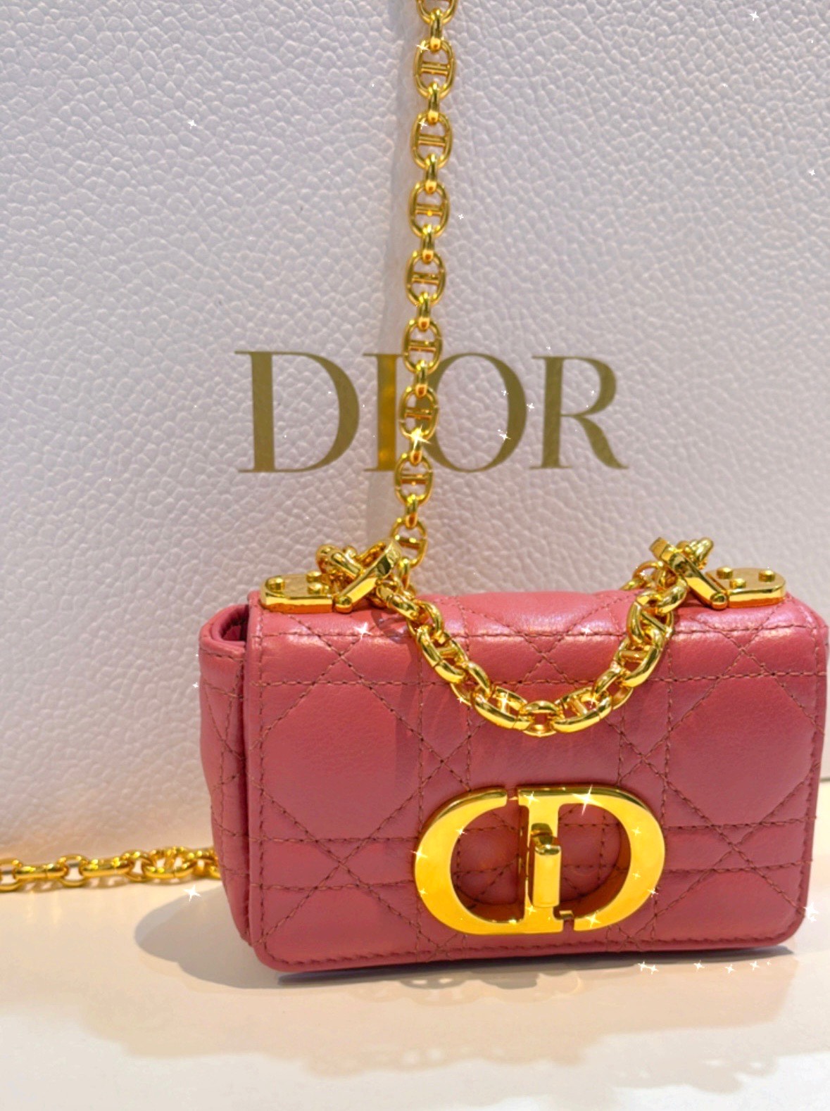 DIOR CANNAGE MINI CARO CALFSKIN LEATHER CROSSBODY BAG
