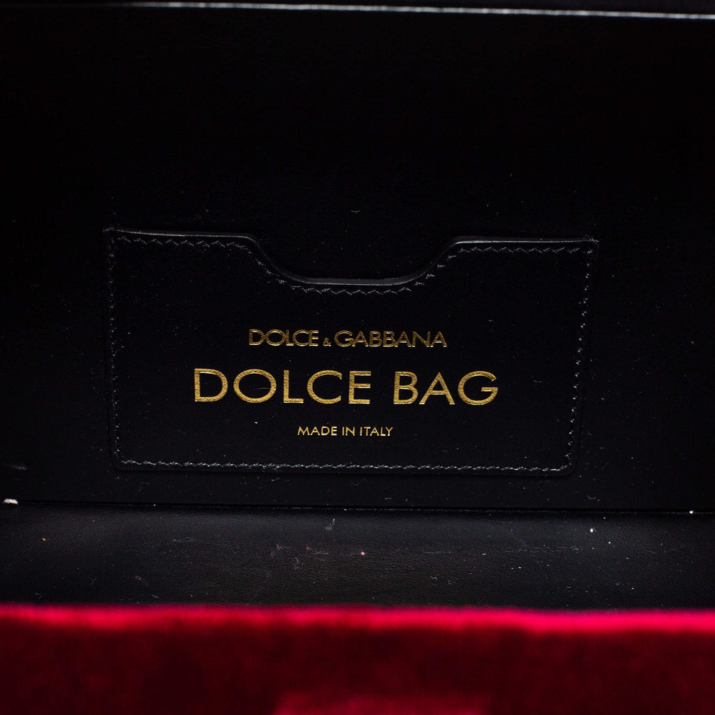 DOLCE & GABBANA VELVET LIZARD EMBOSSED LEATHER EMBELLISHED BOX BAG