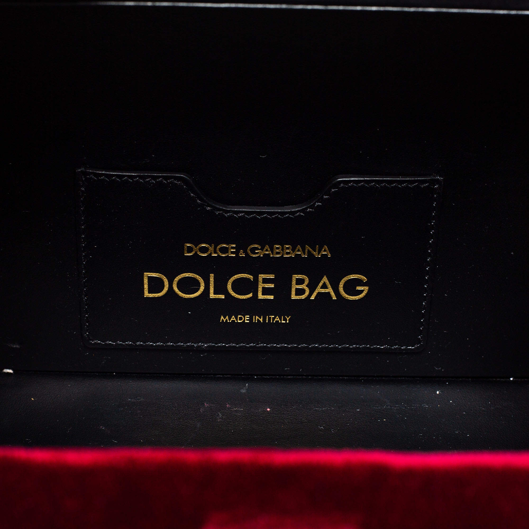 DOLCE & GABBANA VELVET LIZARD EMBOSSED LEATHER EMBELLISHED BOX BAG