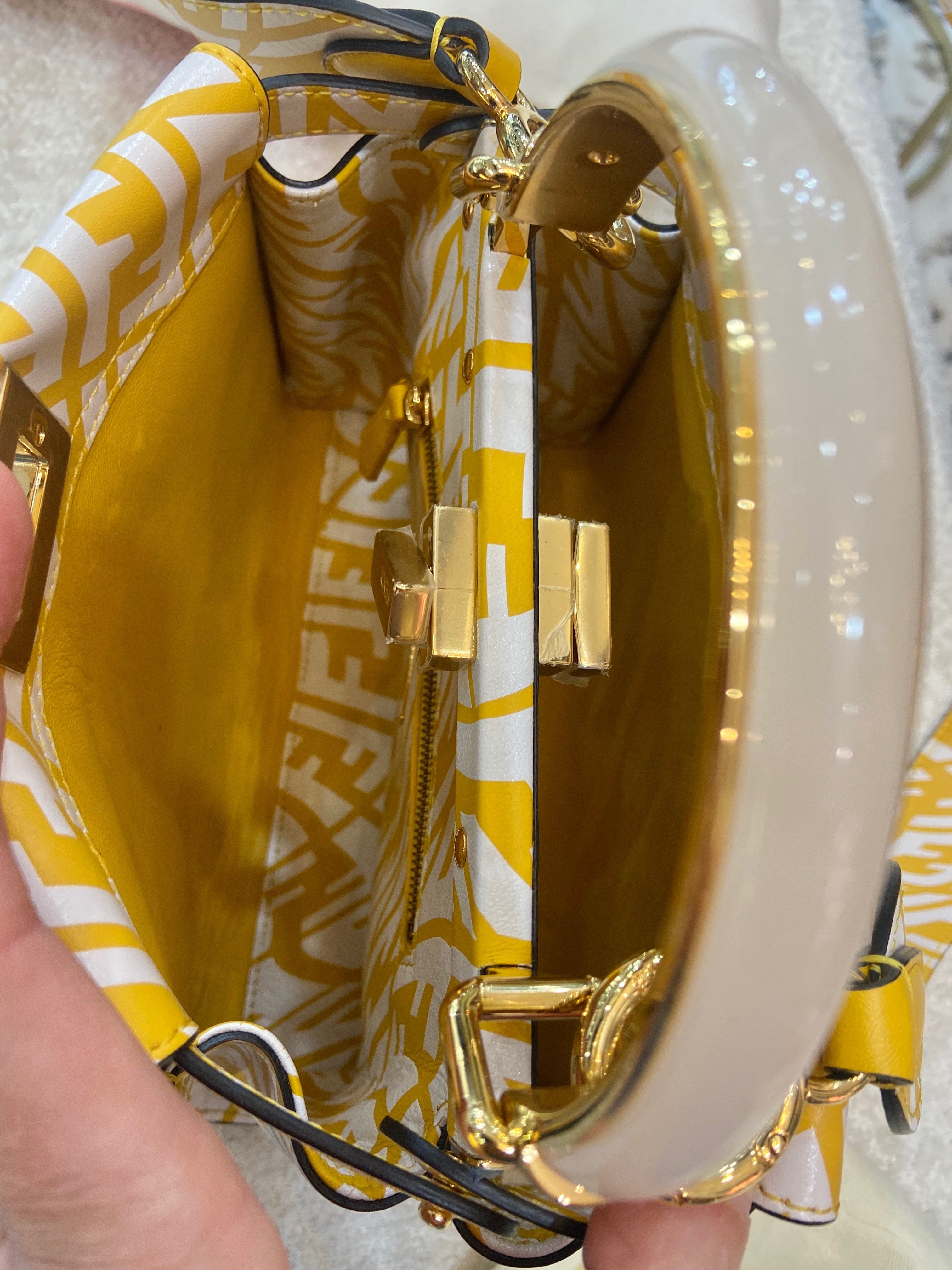 FENDI X SARAH COLEMAN MINI VERTIGO PEEKABOO BAG
