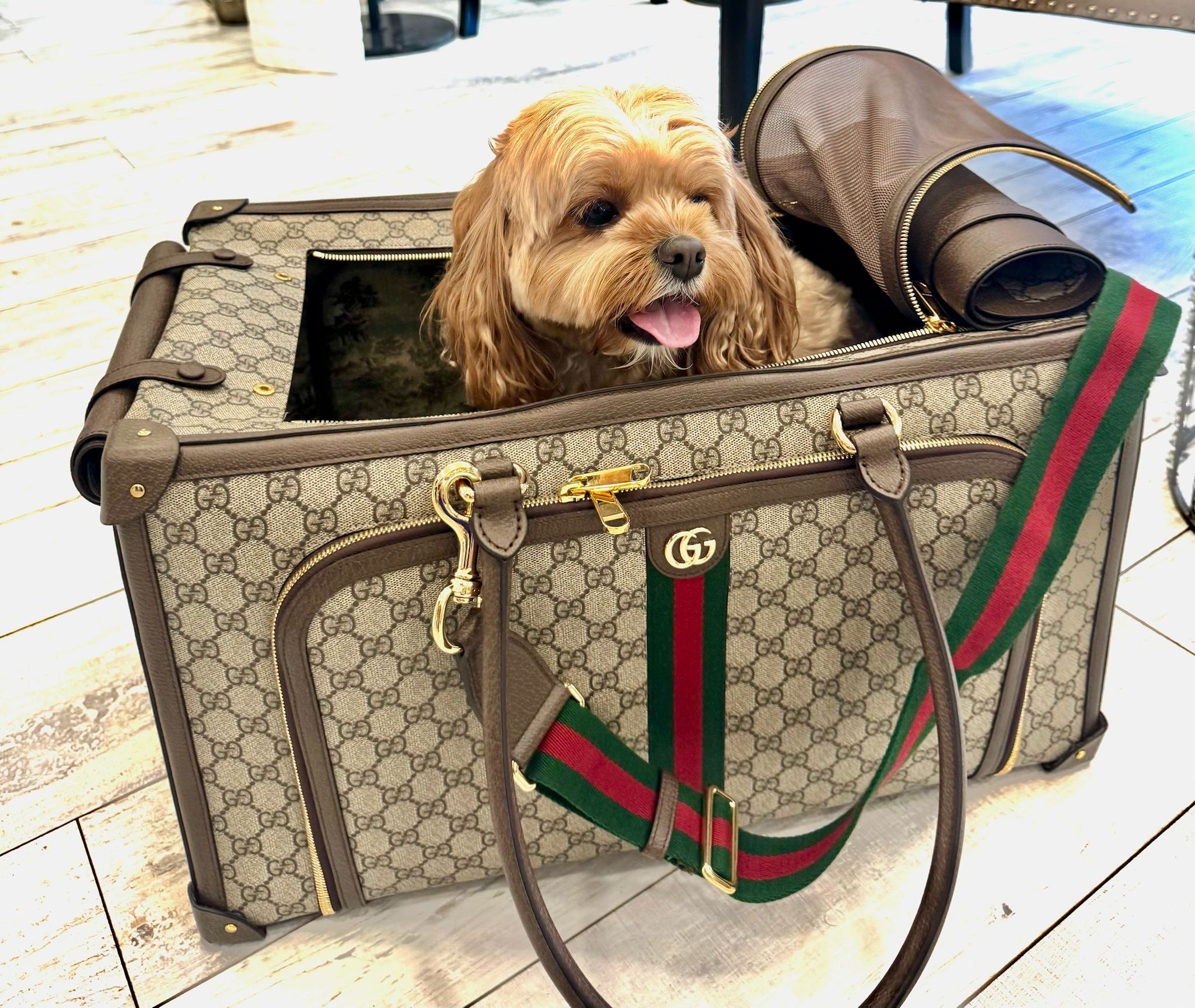GUCCI GG SUPREME WEB PET CARRIER
