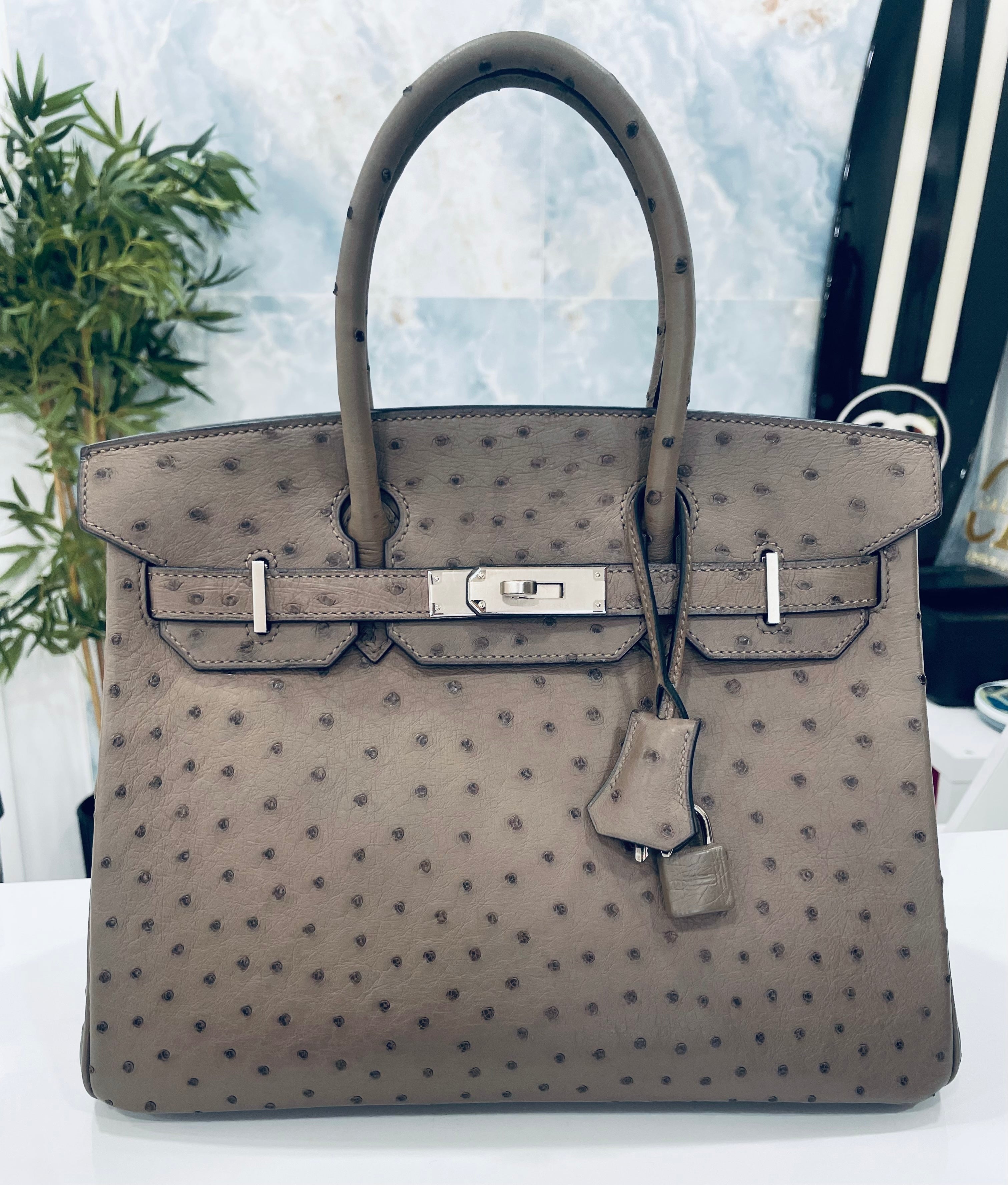 HERMÈS BIRKIN 30 OSTRICH PALLADIUM HARDWARE HANDBAG – MOUSSE (2016)