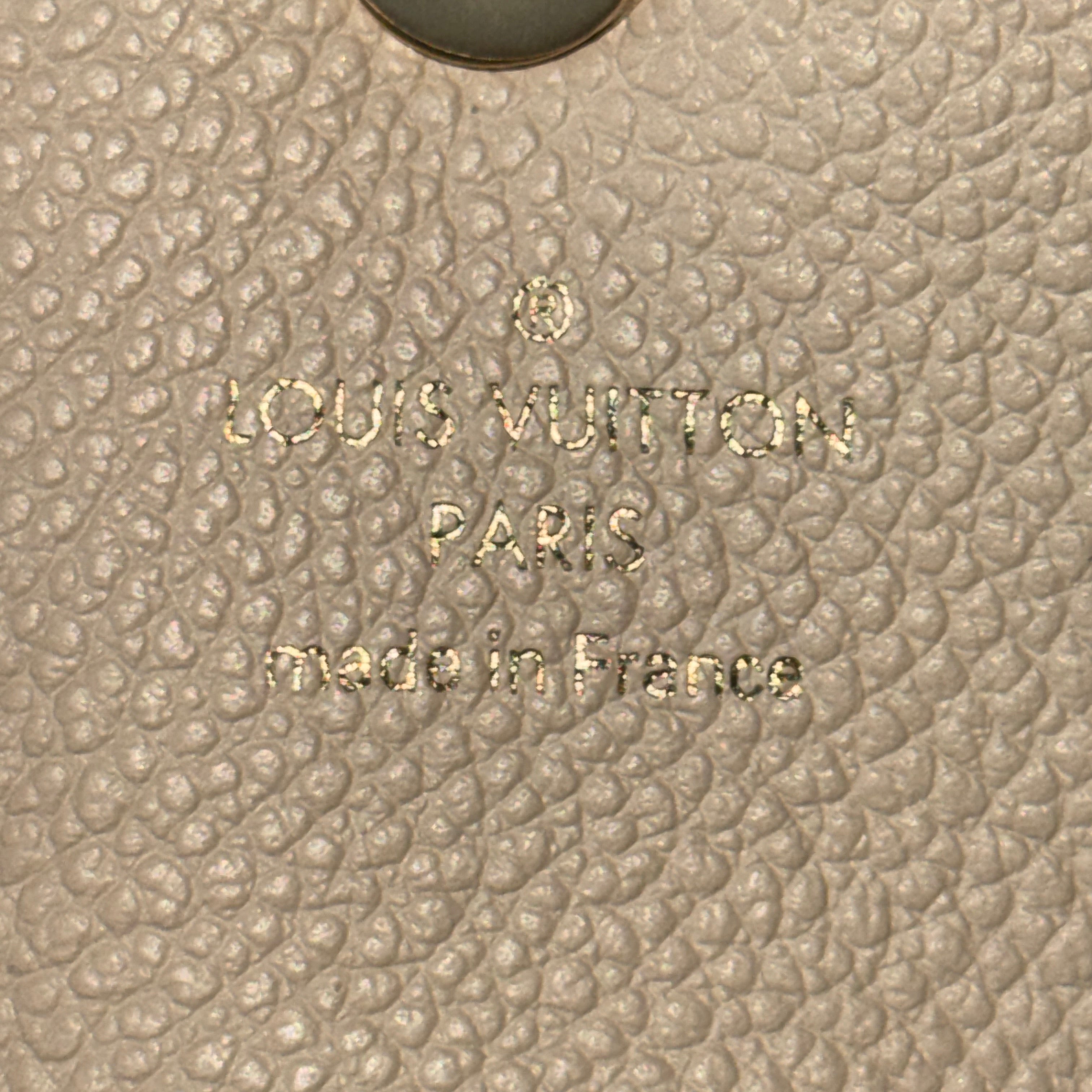 LOUIS VUITTON Damier Ebene Clapton Backpack