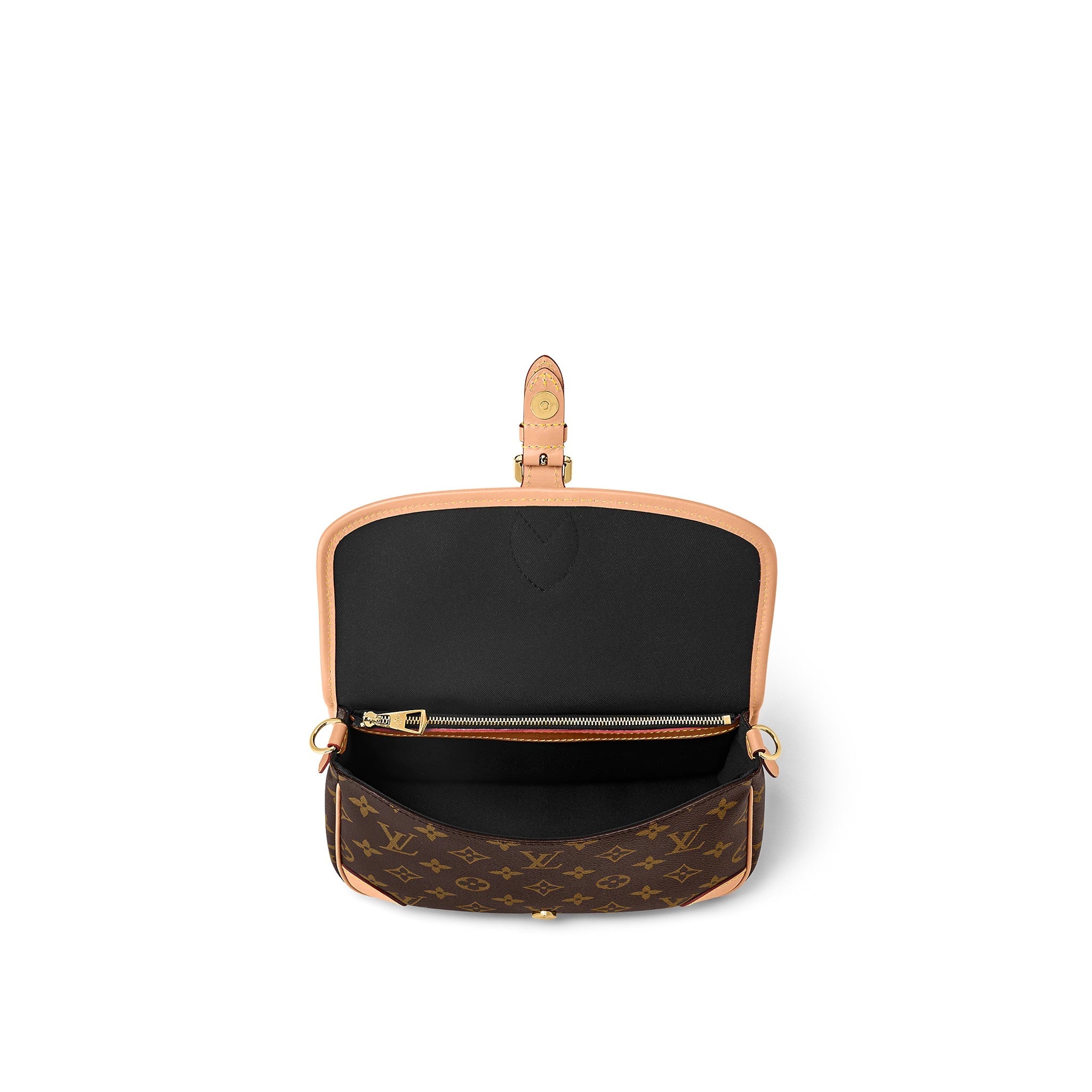 LOUIS VUITTON MONOGRAM DIANE SATCHEL NM