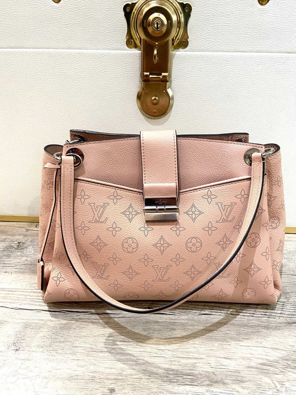 LOUIS VUITTON MONOGRAM SEVRES MAHINA CALFSKIN LEATHER